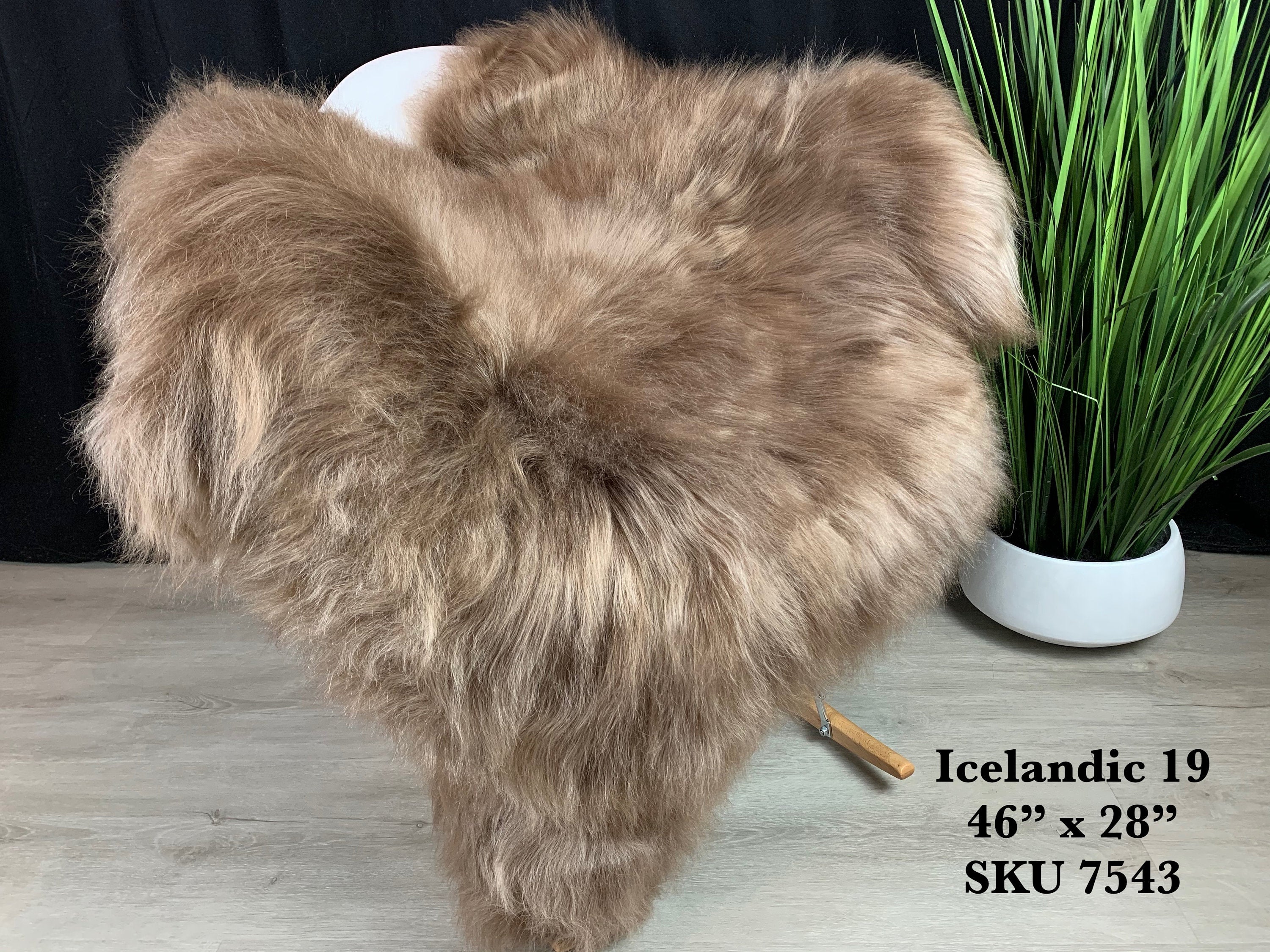 Genuine Sheepskin Rug / Real Sheepskin Rug / Icelandic Sheepskin Rug / Sheepskin Pelt / Genuine Sheepskins / Natural Sheepskin