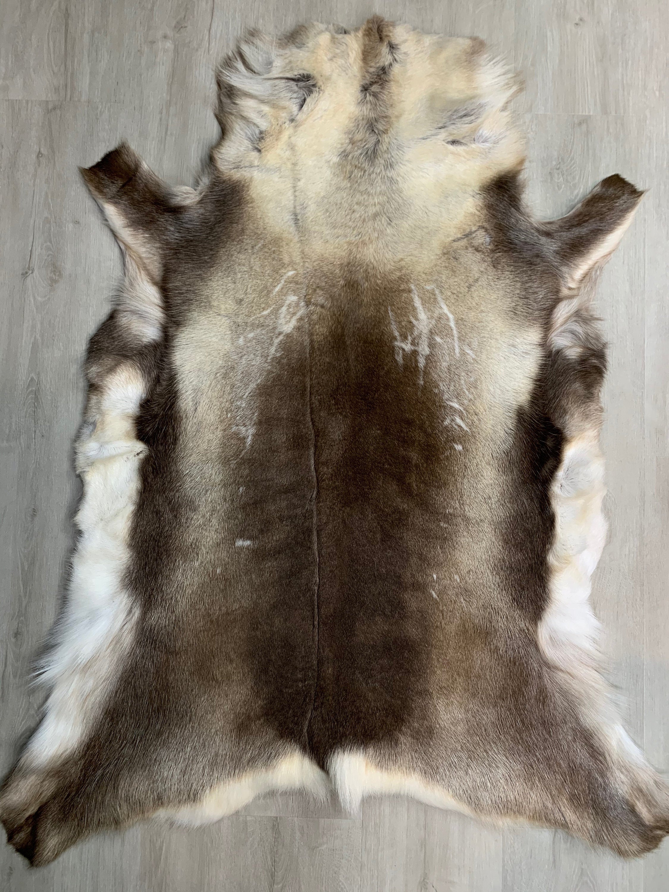 Reindeer Rug / Scandinavian Reindeer Hide / Natural Real Reindeer