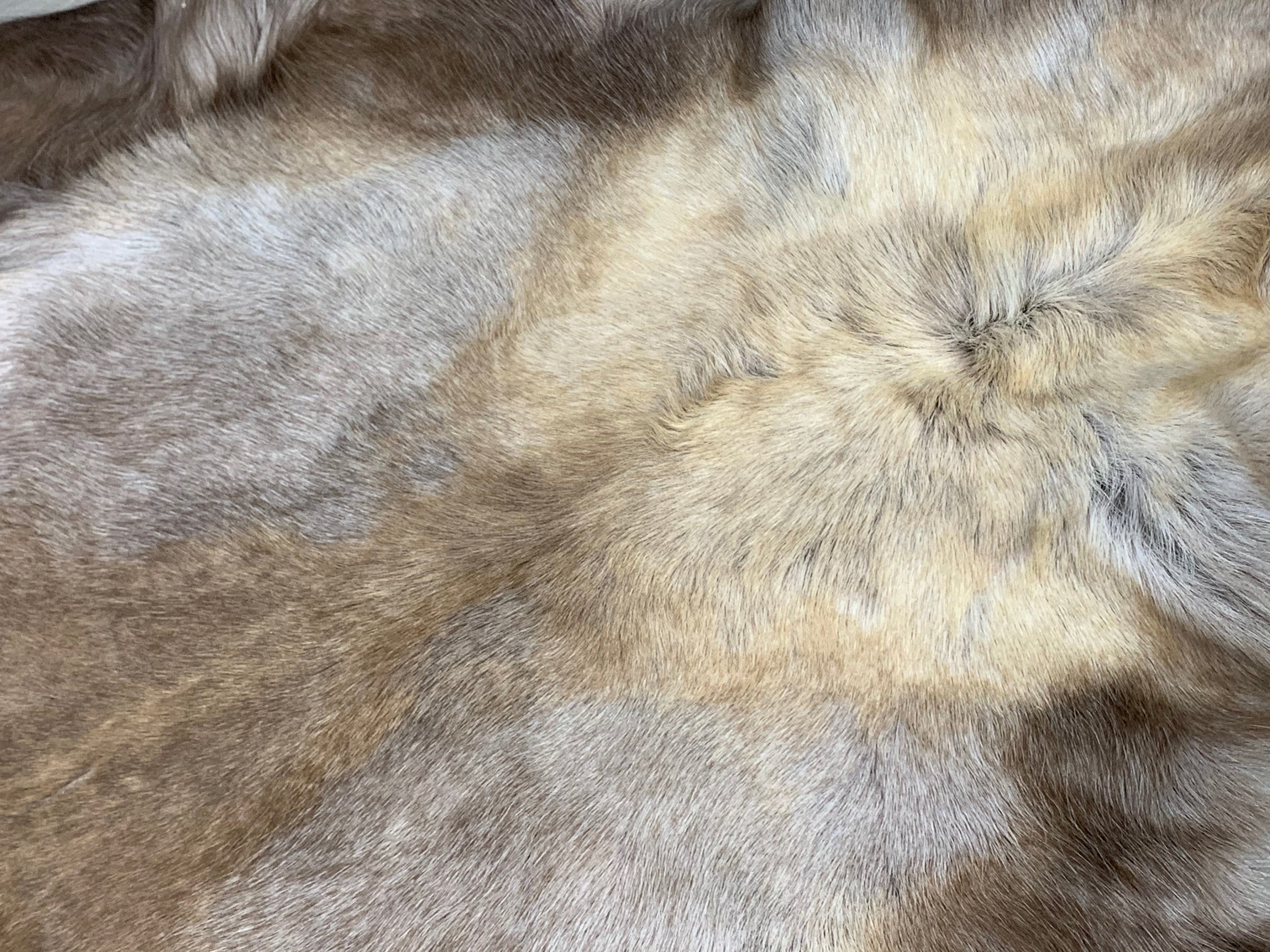 Genuine Scandinavian Reindeer Hide * Decorative reindeer skin rug hide pelt throw * Large Genuine reindeer pelt