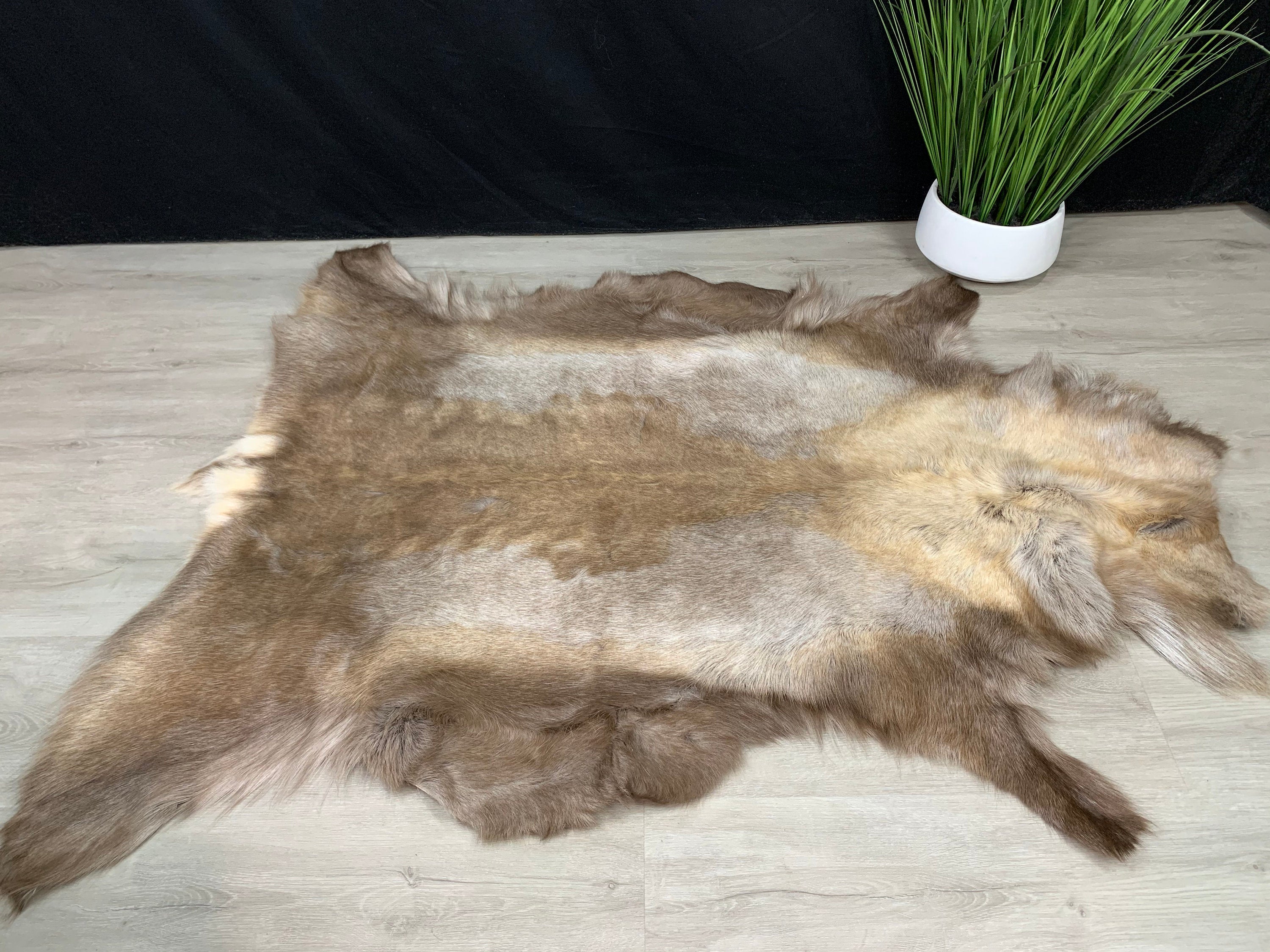 Genuine Scandinavian Reindeer Hide * Decorative reindeer skin rug hide pelt throw * Large Genuine reindeer pelt