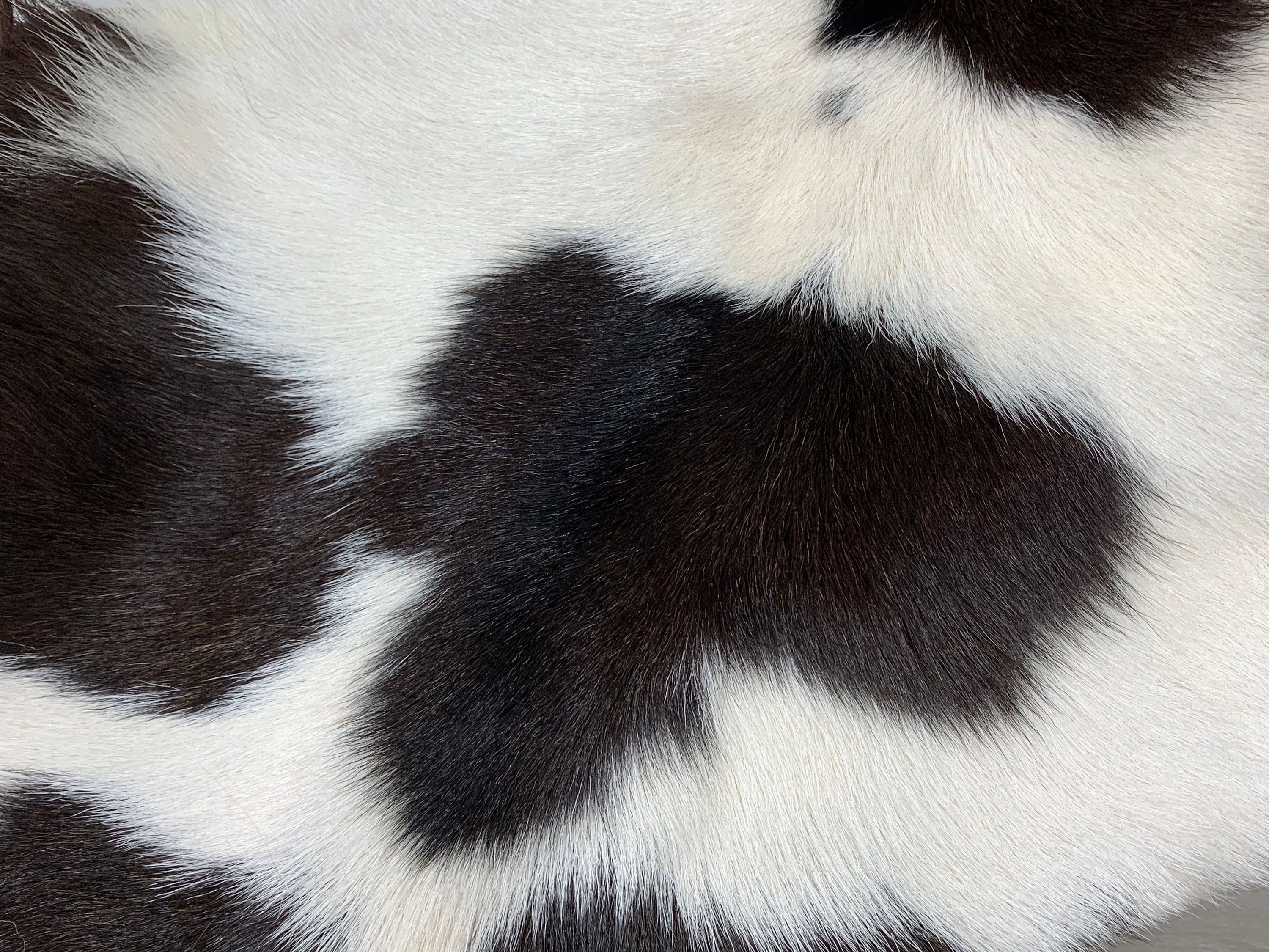 Goat Brown White Rug Pelt Hide, Real Goat Skin Rug, Genuine Natural Goat Hide