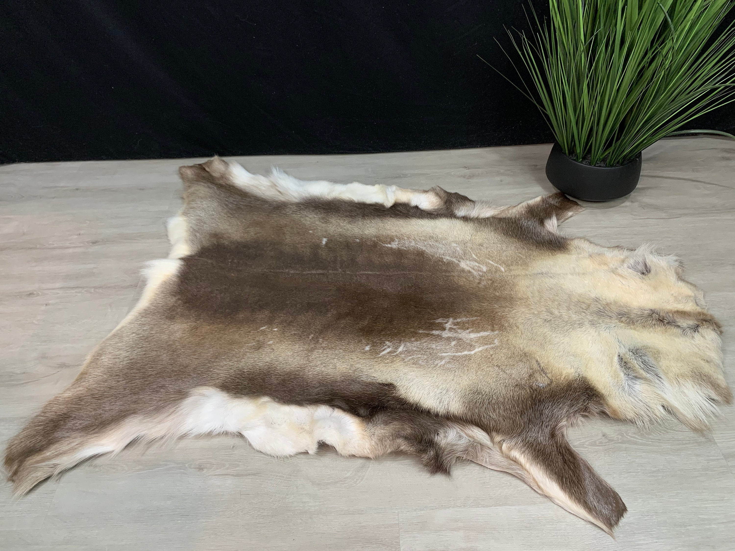 Reindeer Rug / Scandinavian Reindeer Hide / Natural Real Reindeer