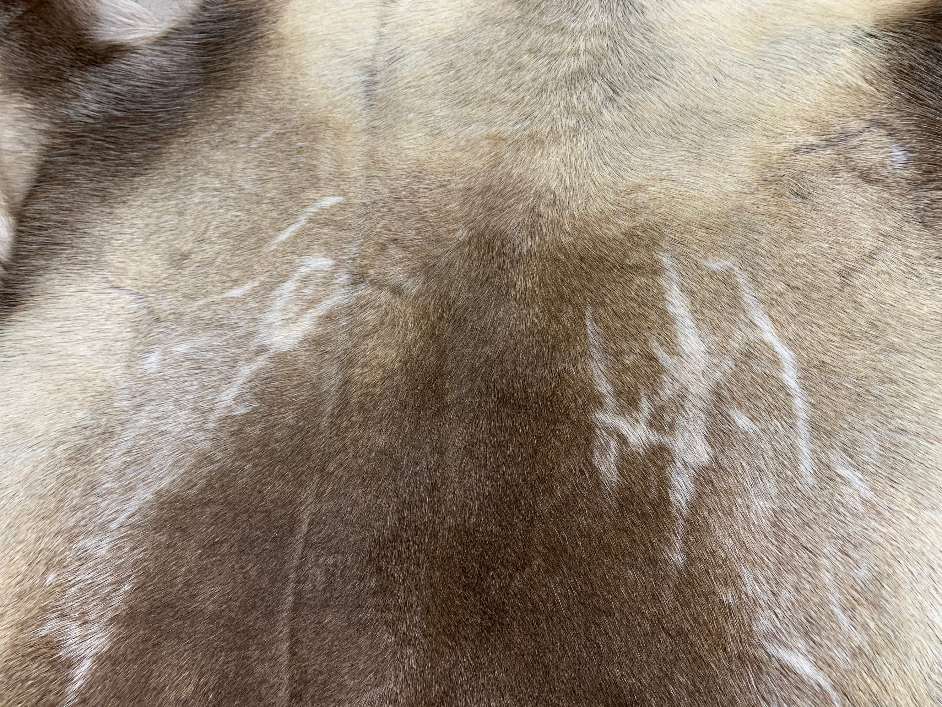 Reindeer Rug / Scandinavian Reindeer Hide / Natural Real Reindeer