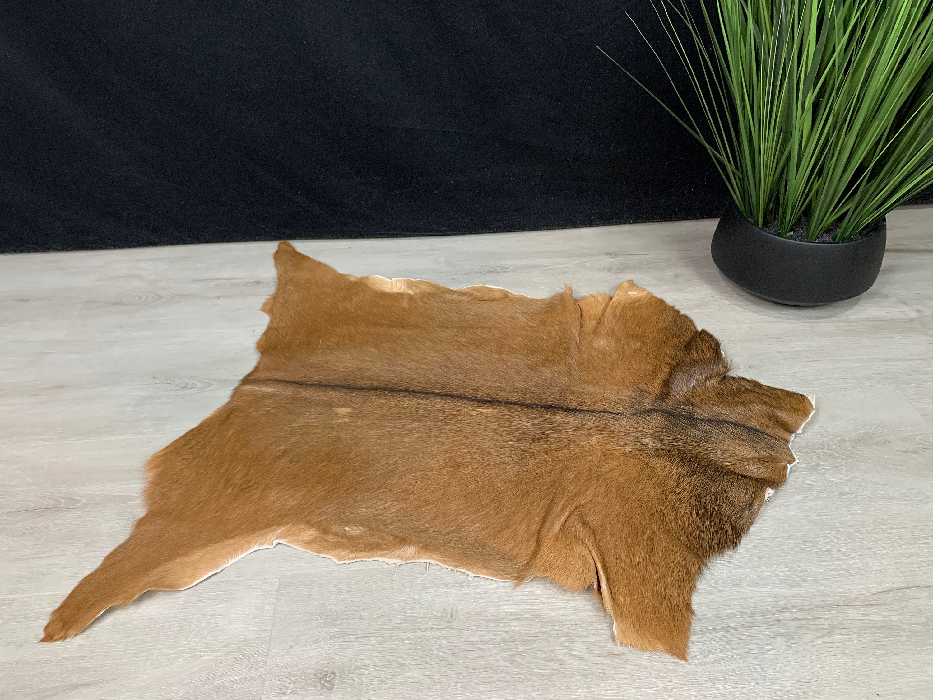 Goat Brown Rug Pelt Hide, Real Goat Skin Rug, Genuine Natural Goat Hide