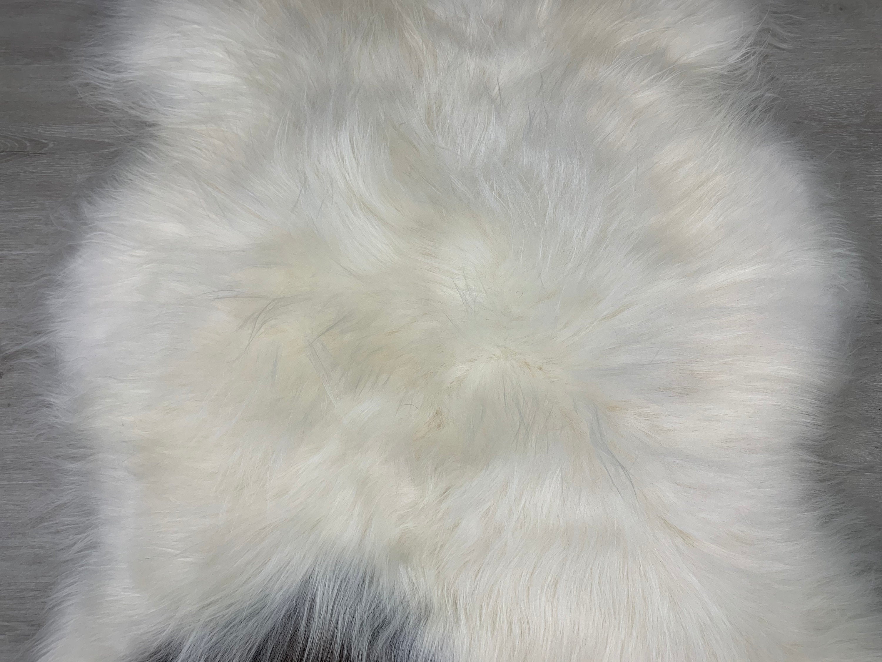 White Brown Spot Iceland Sheepskin Rug * Genuine Sheepskin Rug Fur Throw * Natural Animal Hide Pelt * Sheepskin Seat Cover Pet Bed Throw