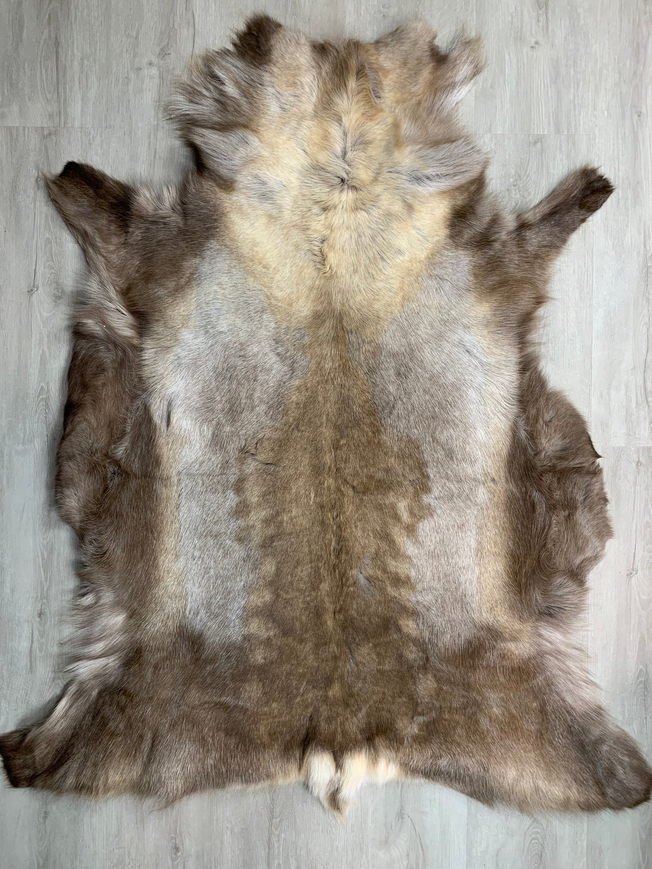 Genuine Scandinavian Reindeer Hide * Decorative reindeer skin rug hide pelt throw * Large Genuine reindeer pelt