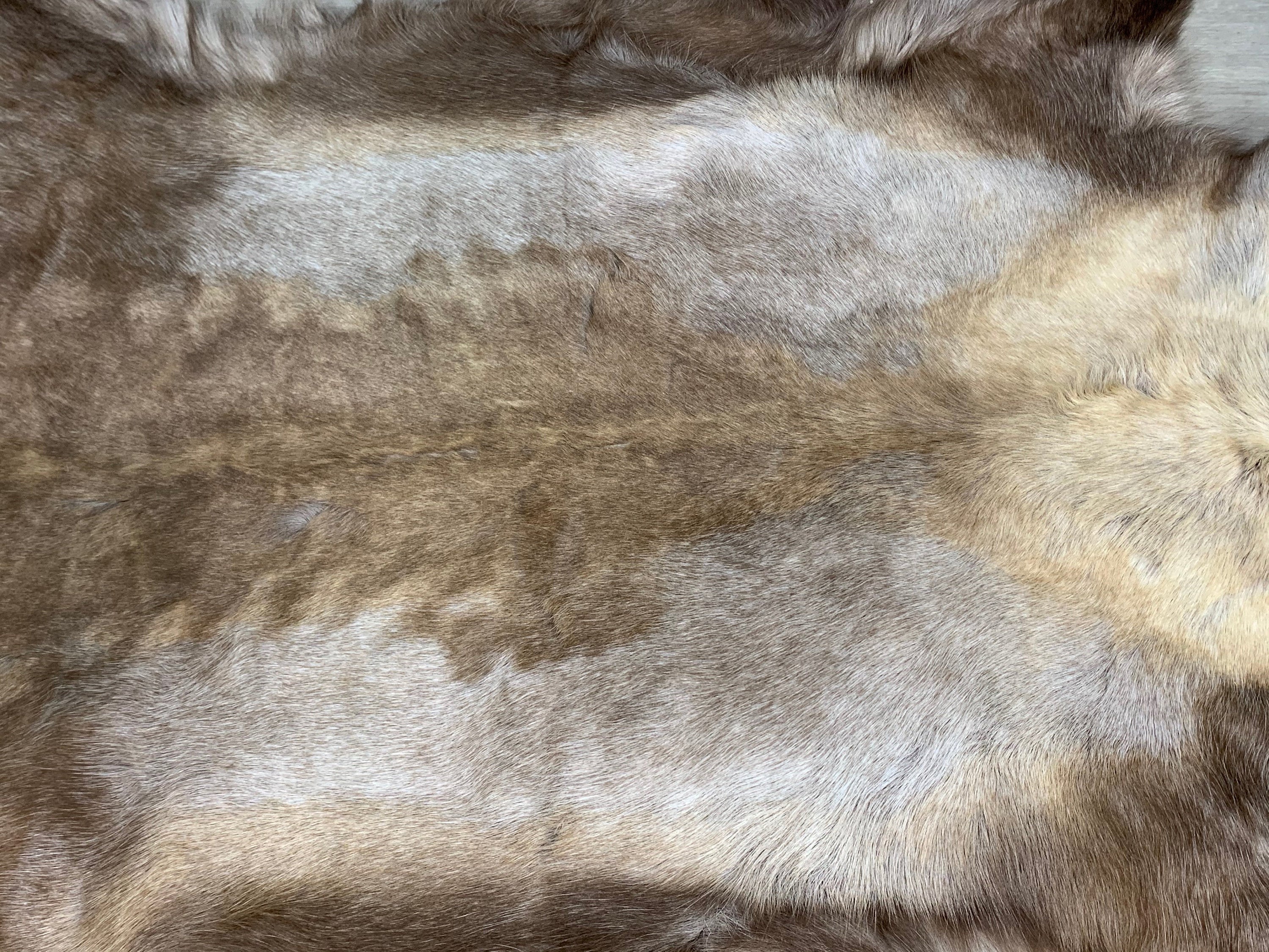 Genuine Scandinavian Reindeer Hide * Decorative reindeer skin rug hide pelt throw * Large Genuine reindeer pelt