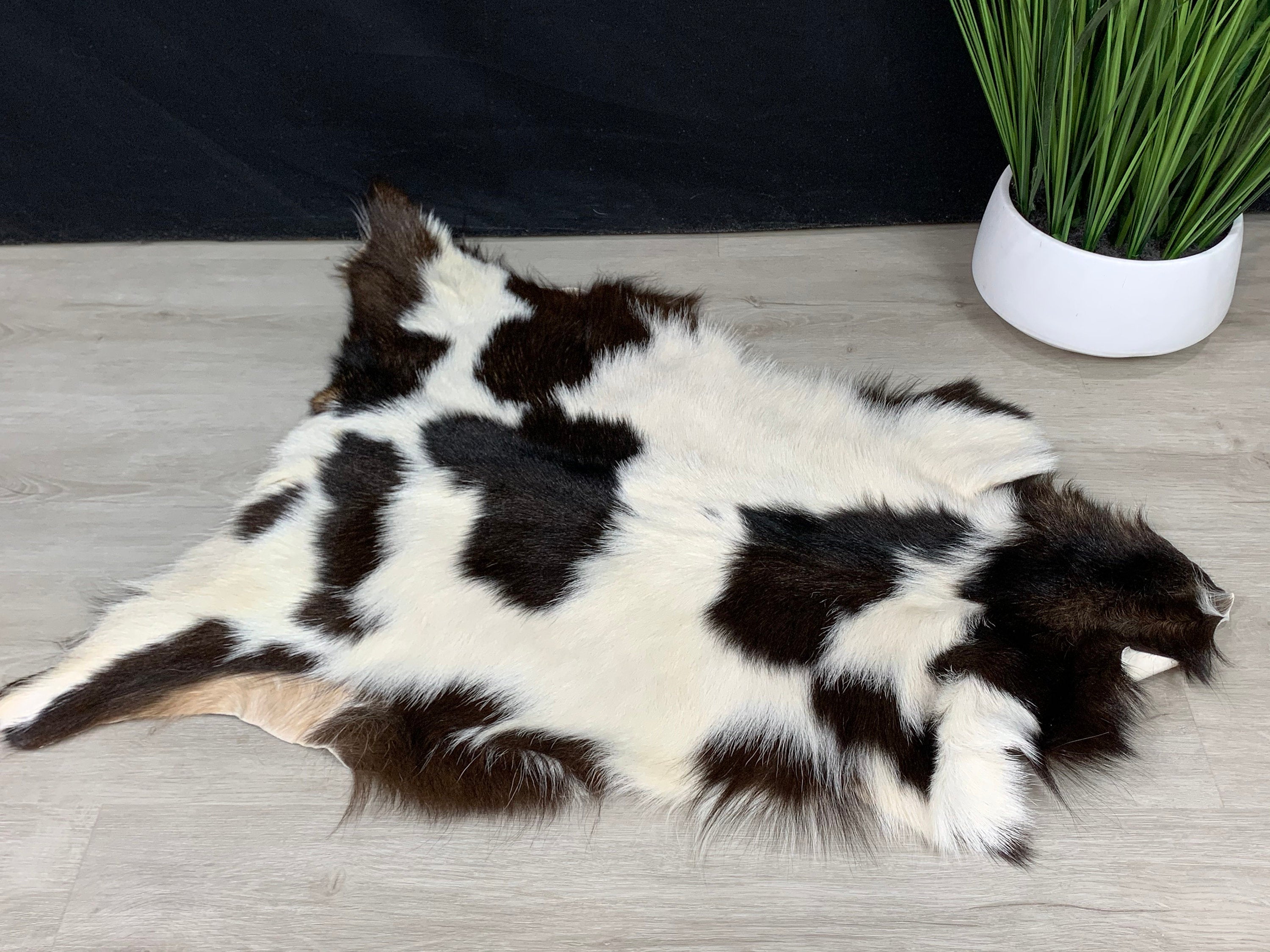 Goat Brown White Rug Pelt Hide, Real Goat Skin Rug, Genuine Natural Goat Hide