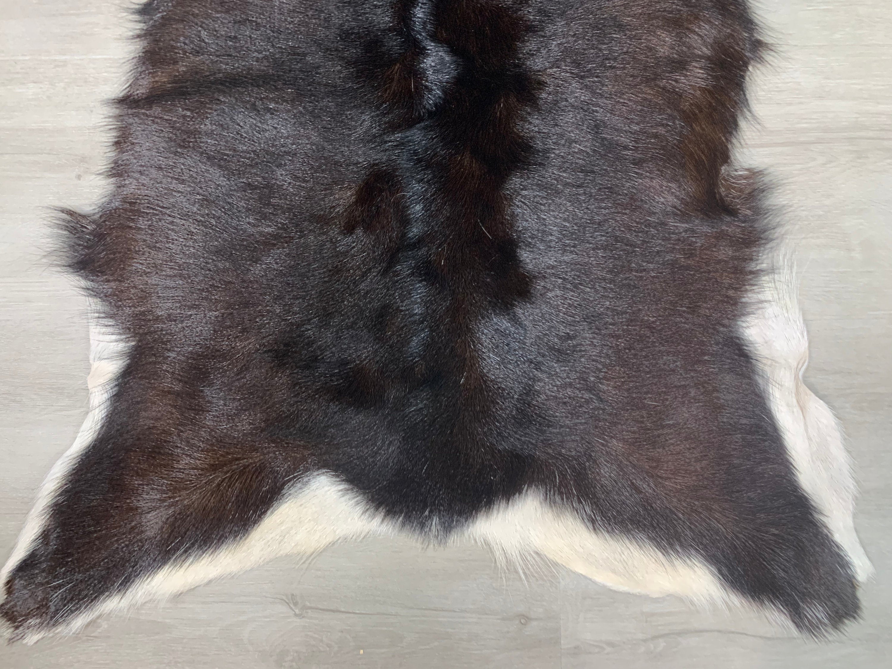 Large Goat Rug Pelt Hide, Real Goat Skin Rug, Genuine Natural Goat Hide