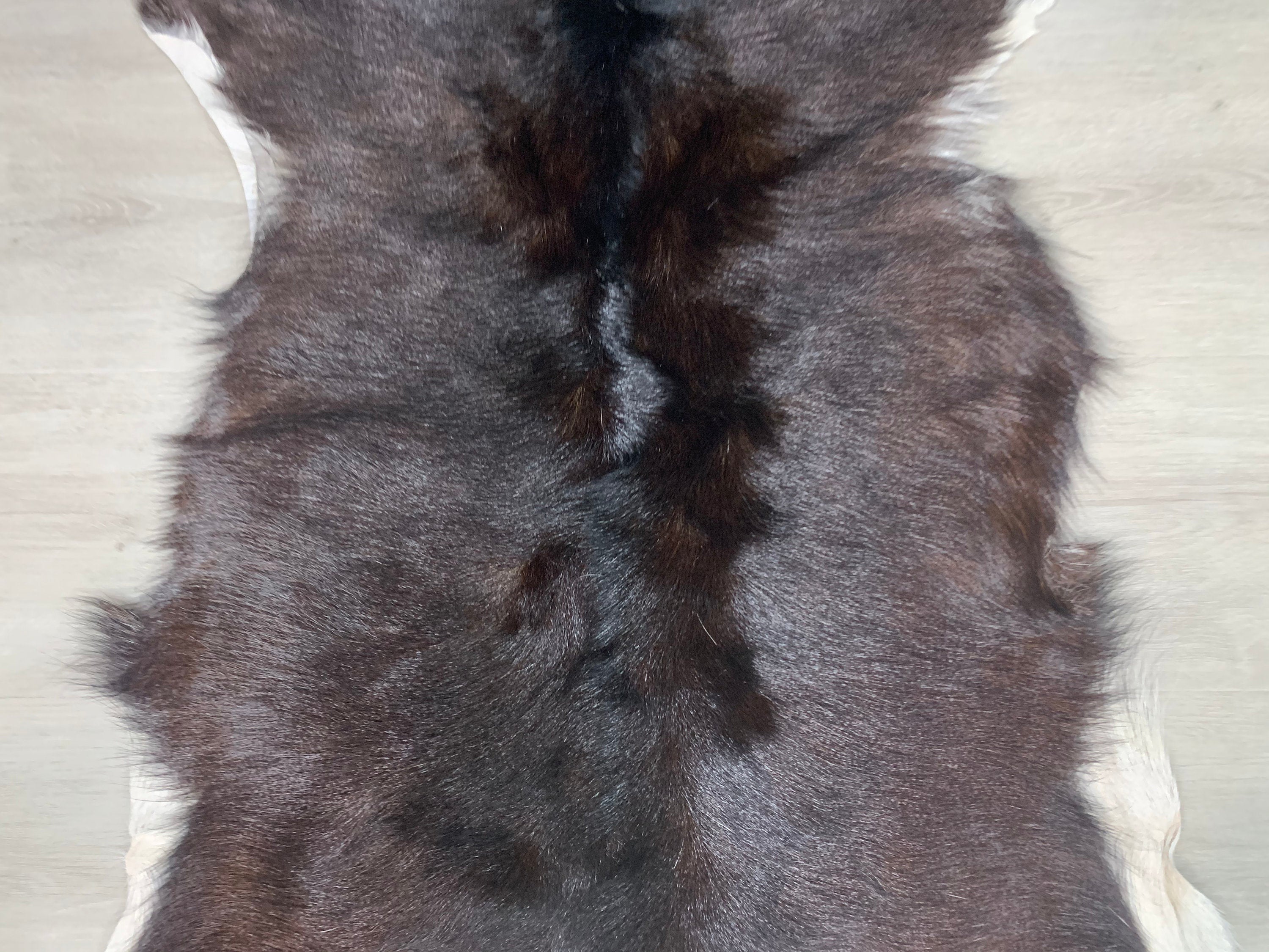 Large Goat Rug Pelt Hide, Real Goat Skin Rug, Genuine Natural Goat Hide