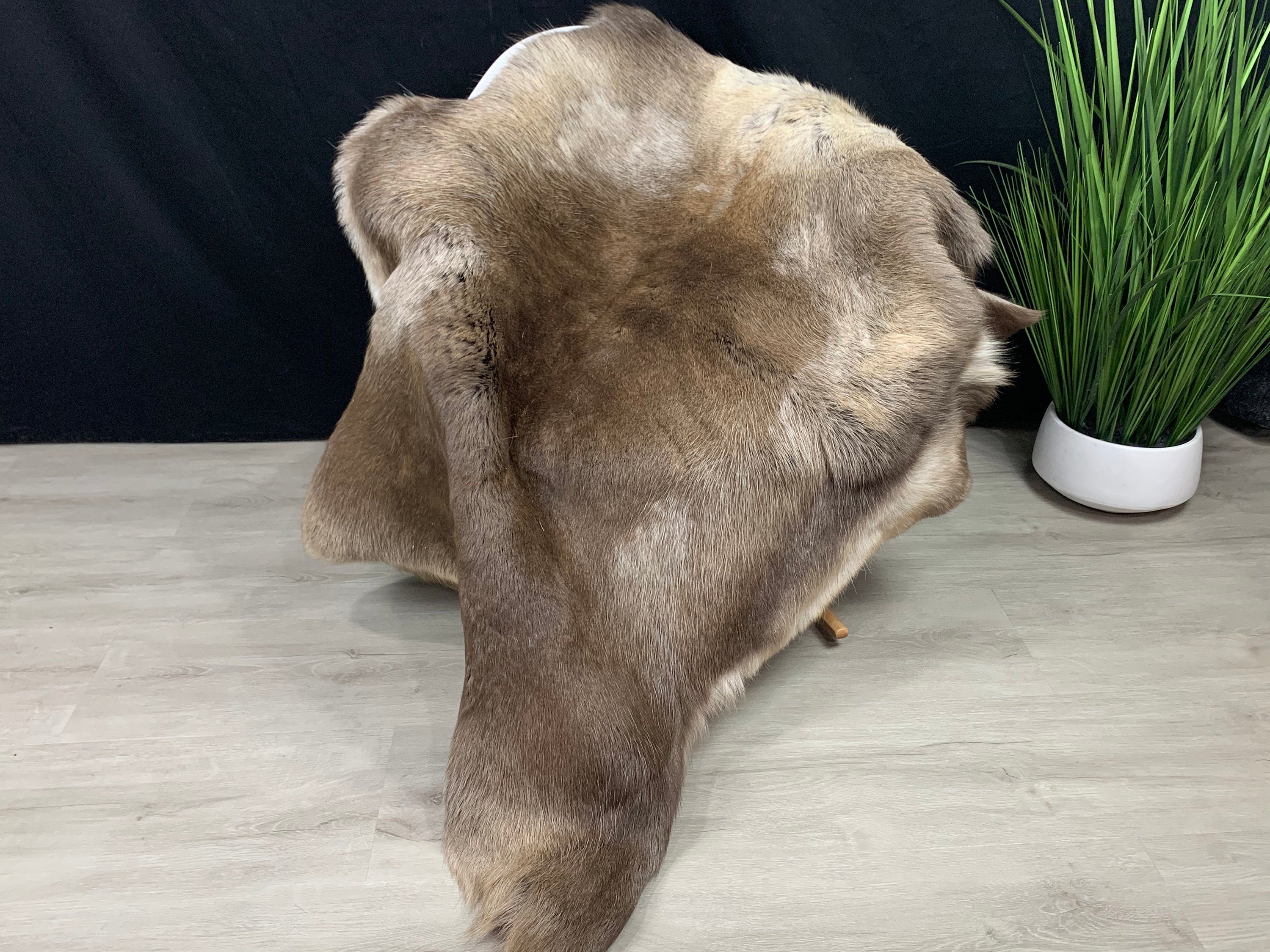 XXL GENUINE Scandinavian Reindeer Hide * Exclusive Reindeer skin rug hide pelt throw 54