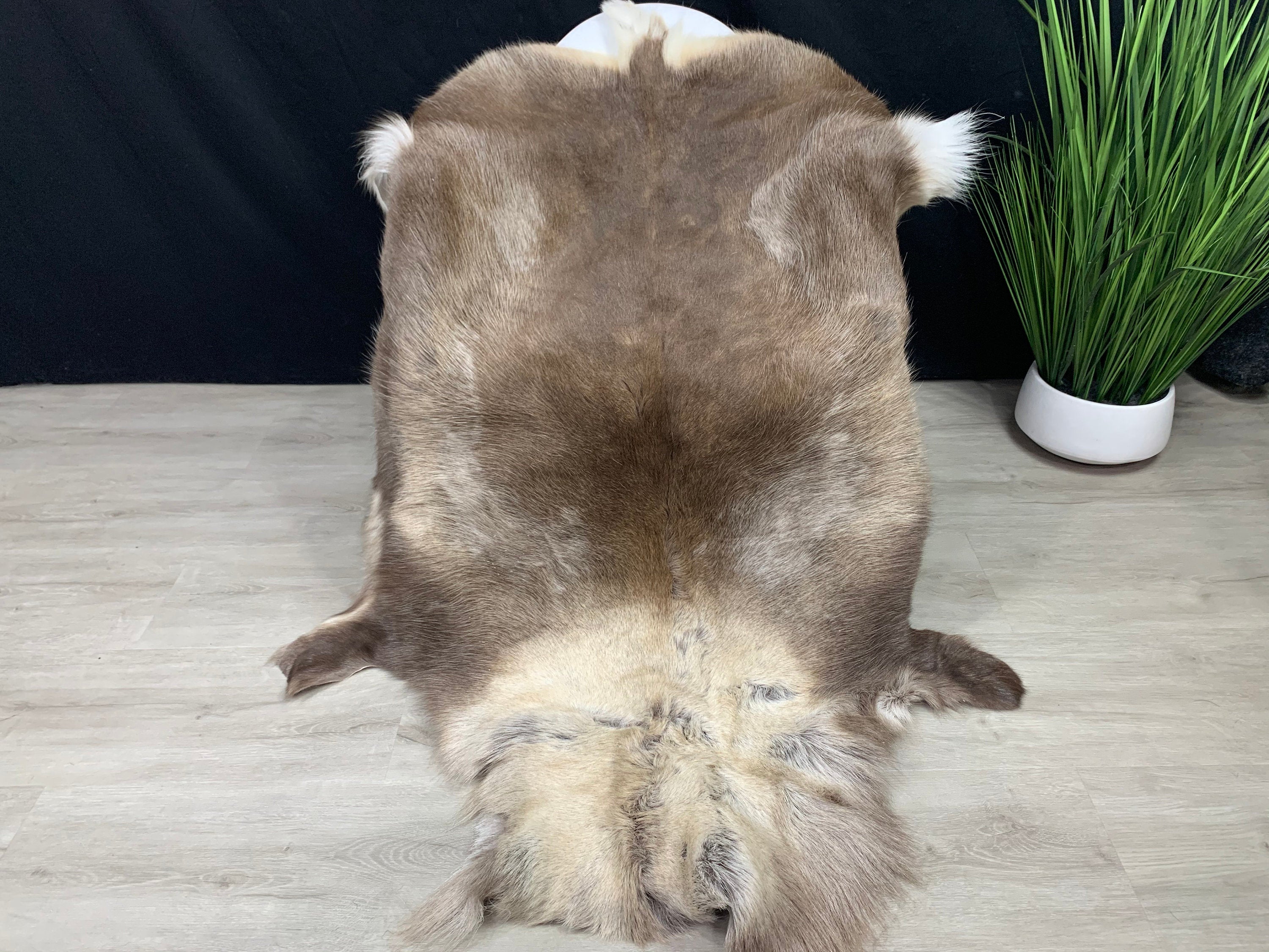 XXL GENUINE Scandinavian Reindeer Hide * Exclusive Reindeer skin rug hide pelt throw 54