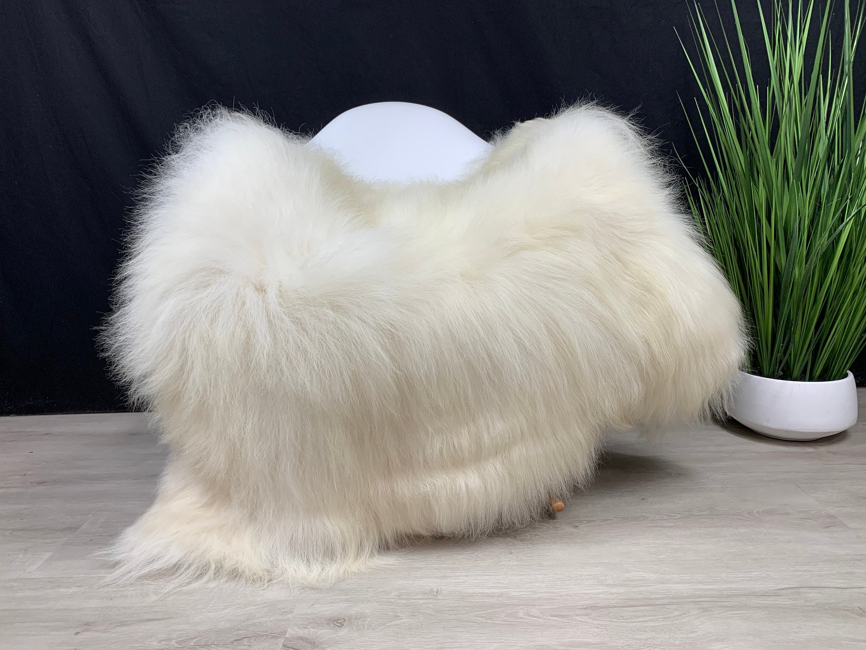 XXL Icelandic genuine sheepskin rug pelt * cream white sheepskin pelt rug pet bed throw seat cover