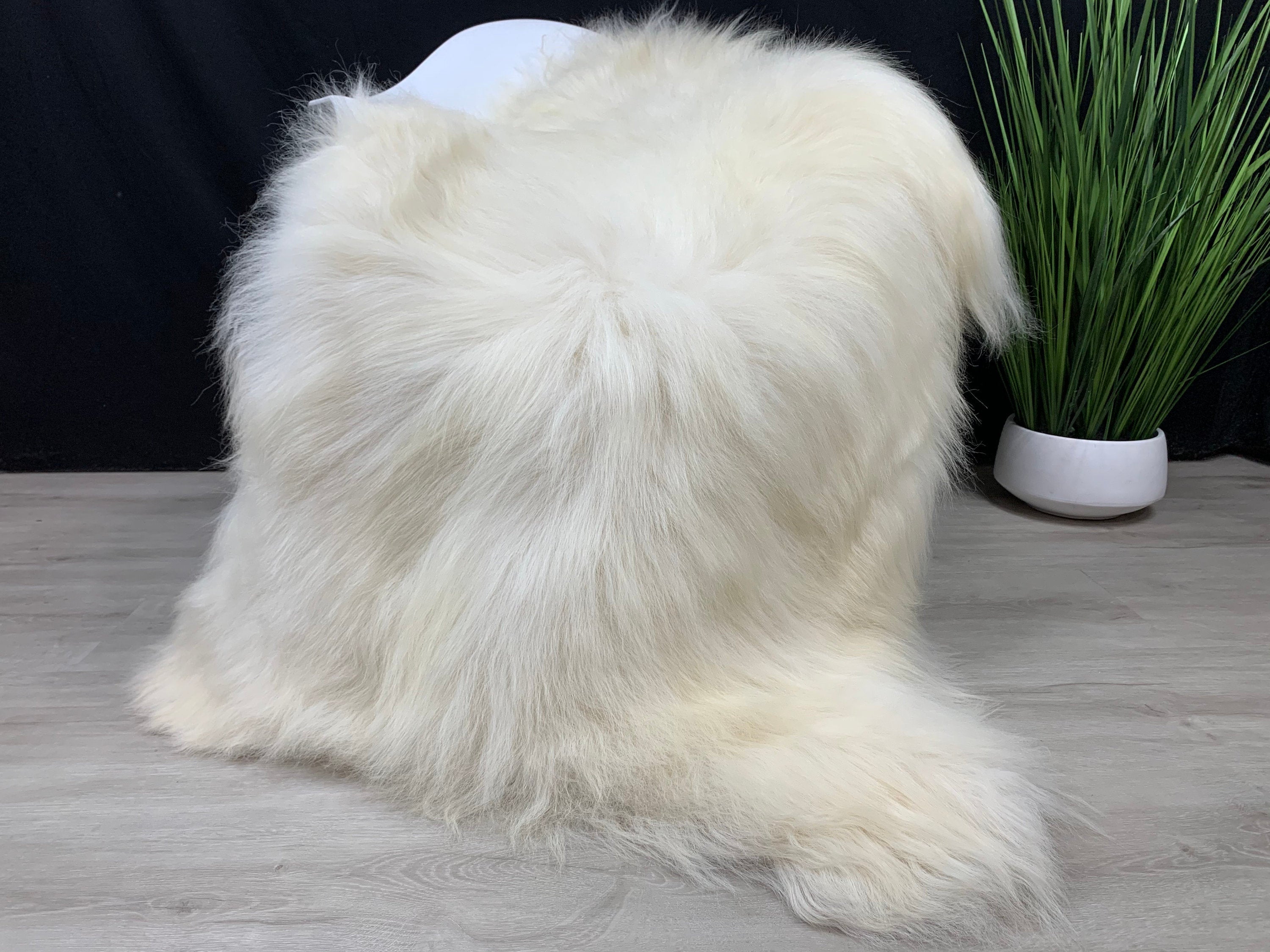 XXL Icelandic genuine sheepskin rug pelt * cream white sheepskin pelt rug pet bed throw seat cover