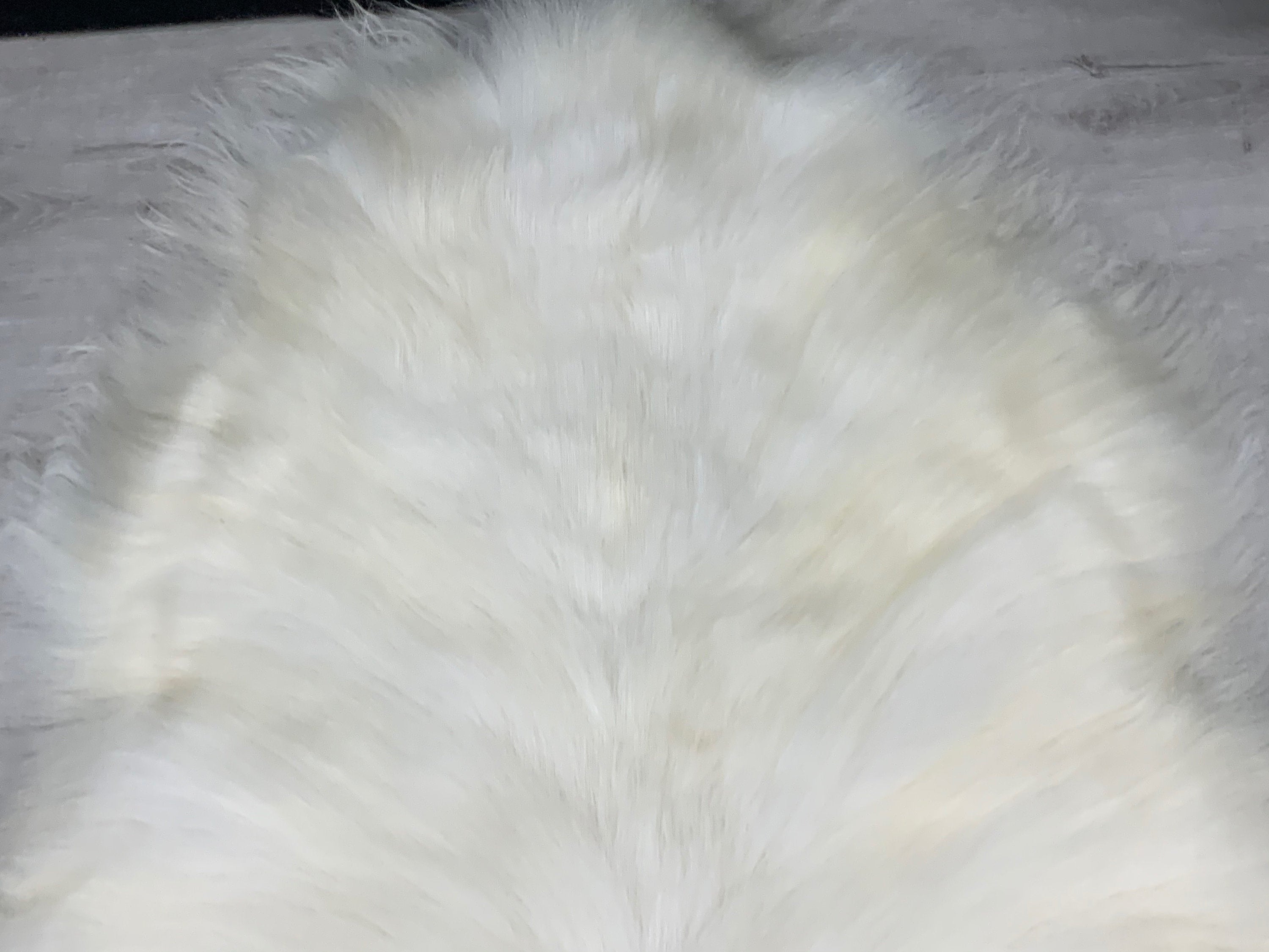 XXL Icelandic genuine sheepskin rug pelt * cream white sheepskin pelt rug pet bed throw seat cover