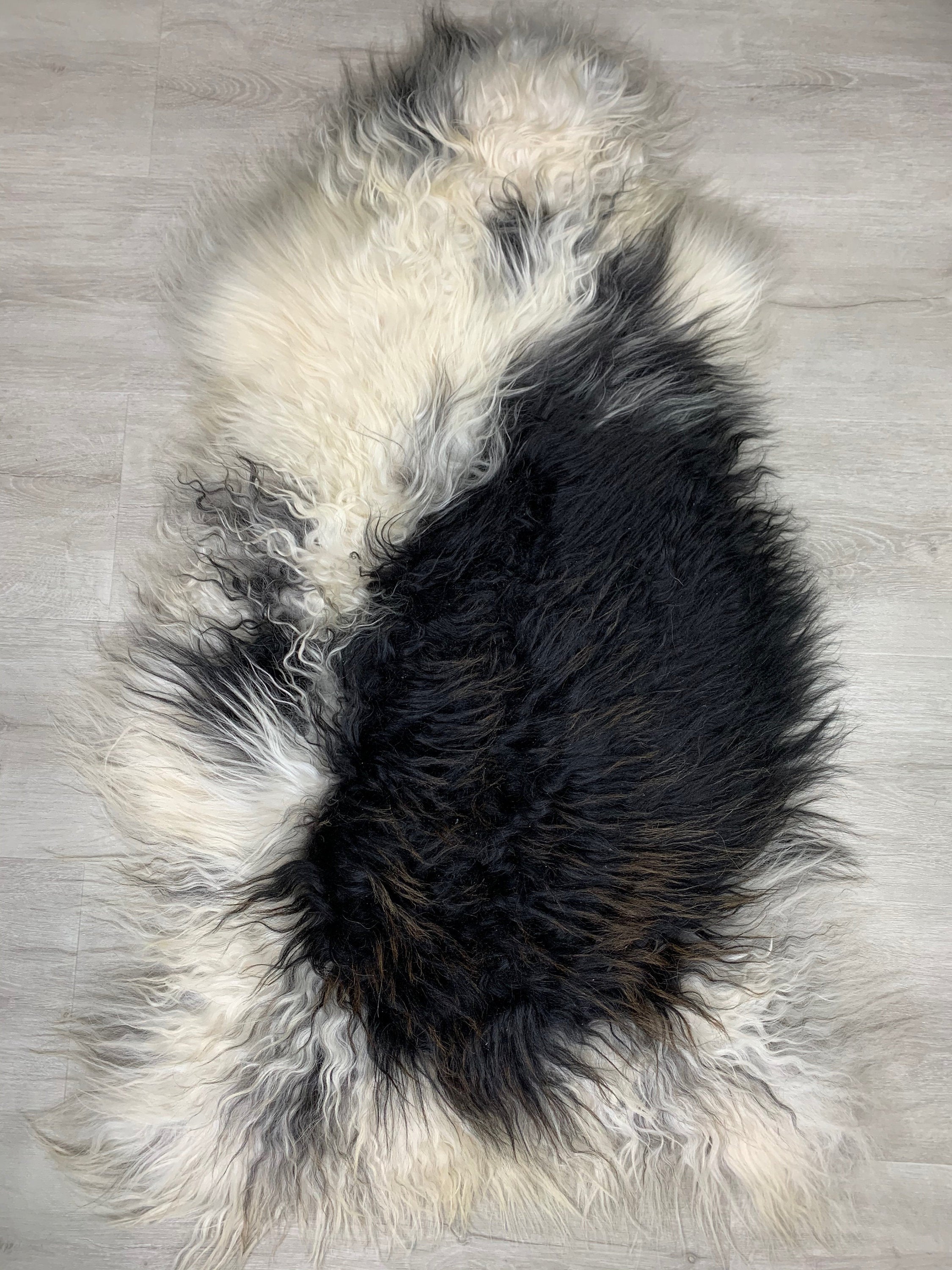 Beautiful Icelandic Curly Sheepskin rug | Fur Pelt | White with Black | natural for pet comfort | modern luxury decor | seat cover