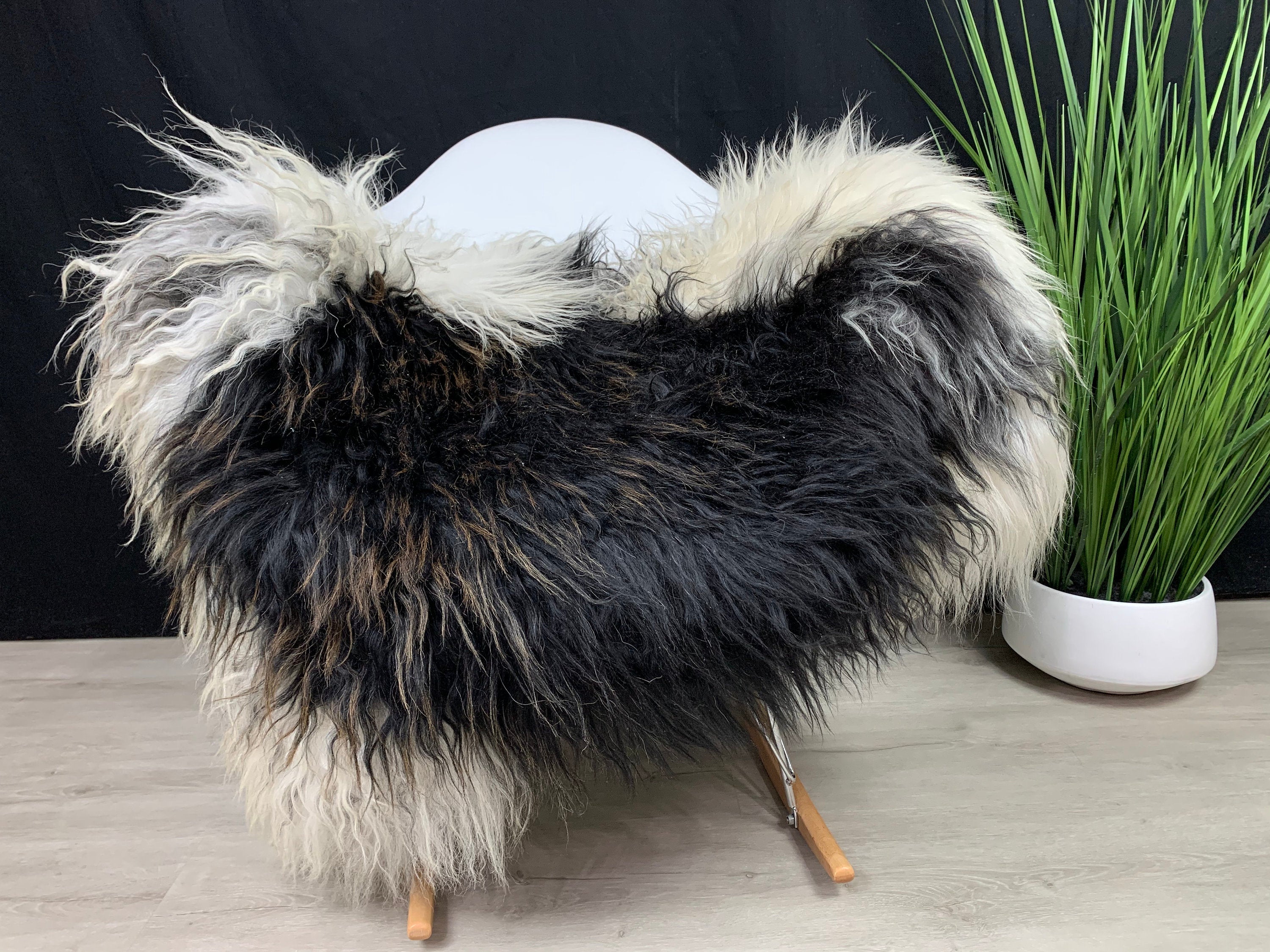 Beautiful Icelandic Curly Sheepskin rug | Fur Pelt | White with Black | natural for pet comfort | modern luxury decor | seat cover