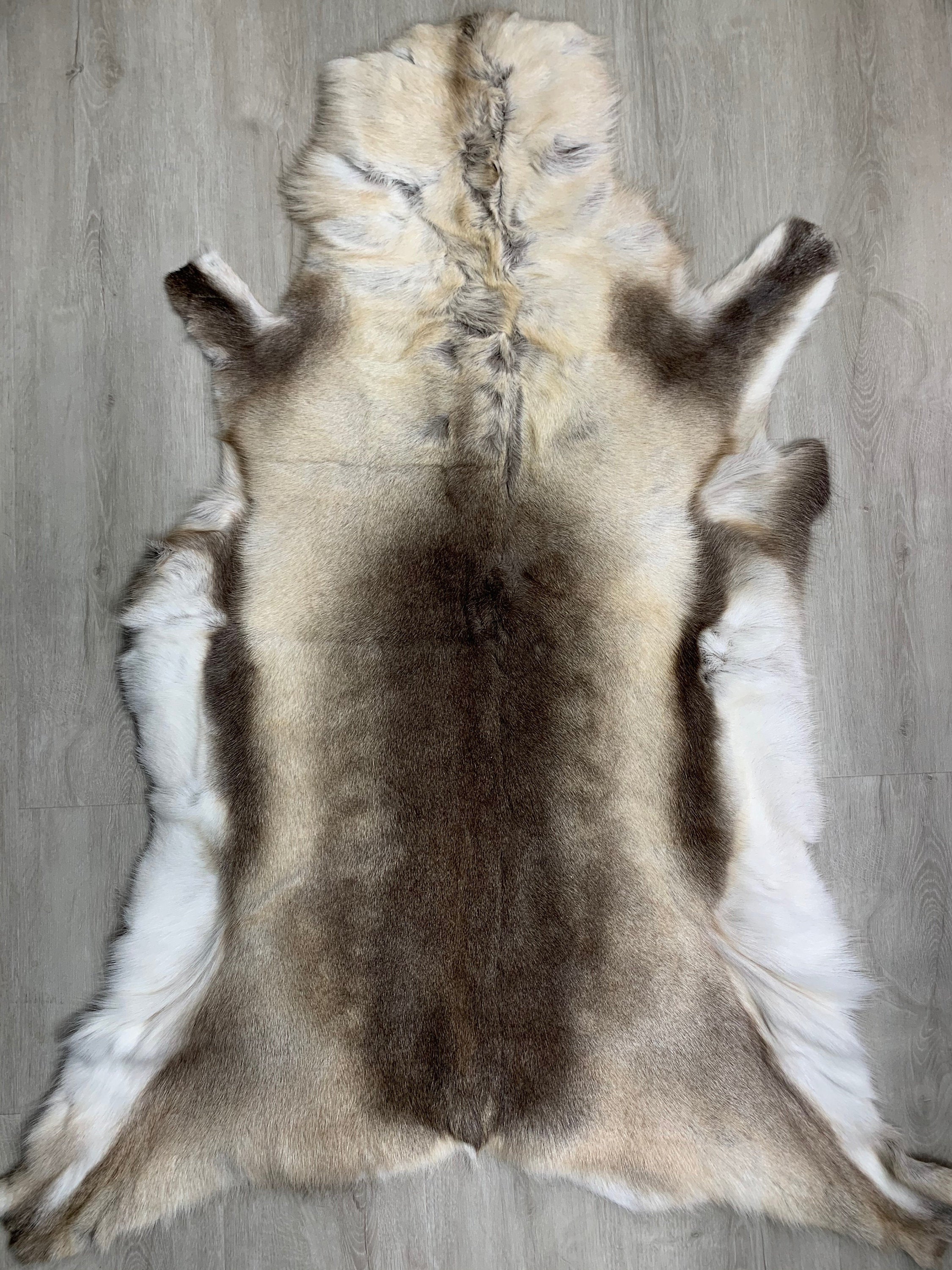 Scandinavian Reindeer Hide Rug | Decorative Reindeer Skin | Genuine Reindeer Pelt Hide