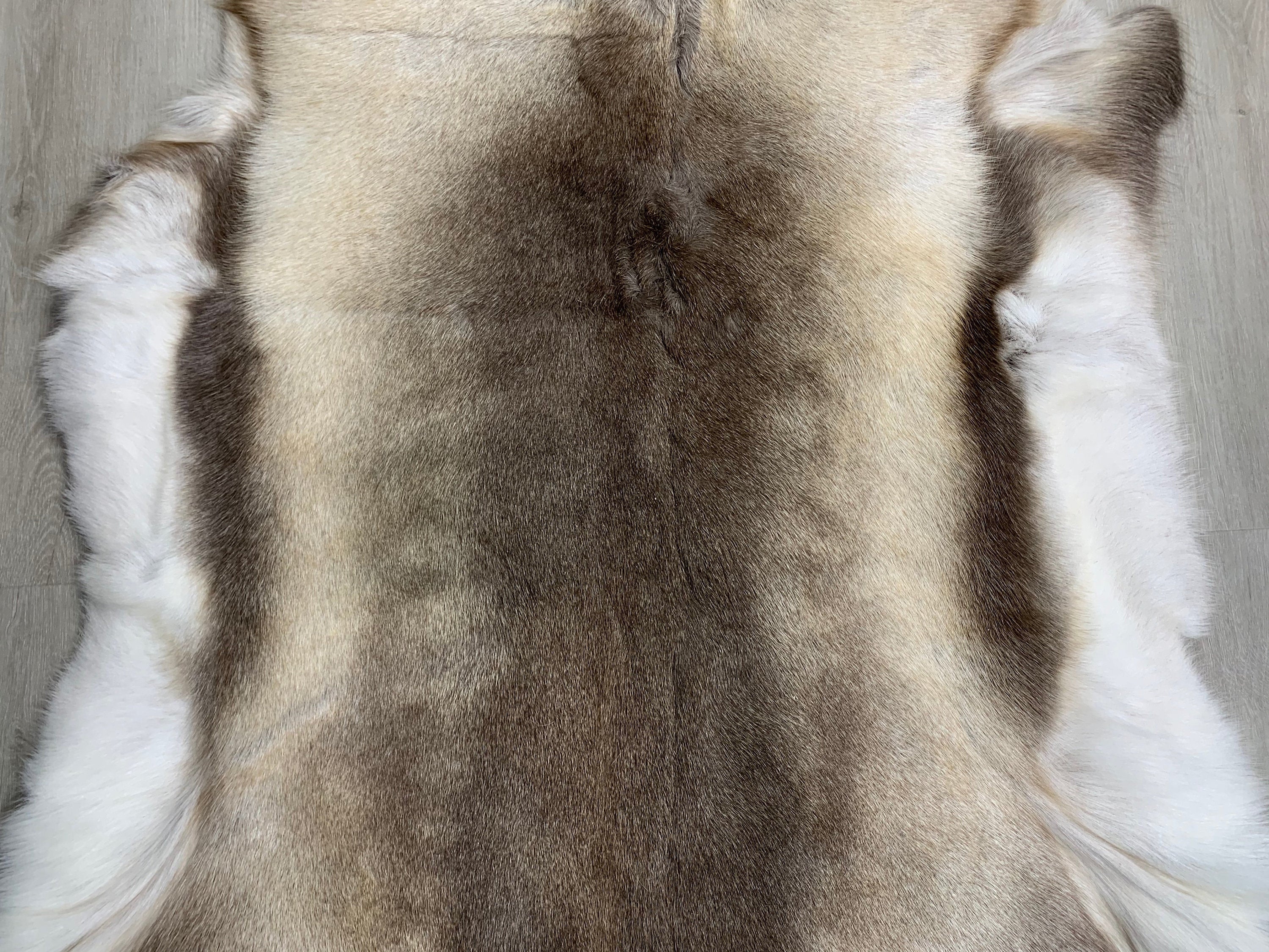 Scandinavian Reindeer Hide Rug | Decorative Reindeer Skin | Genuine Reindeer Pelt Hide