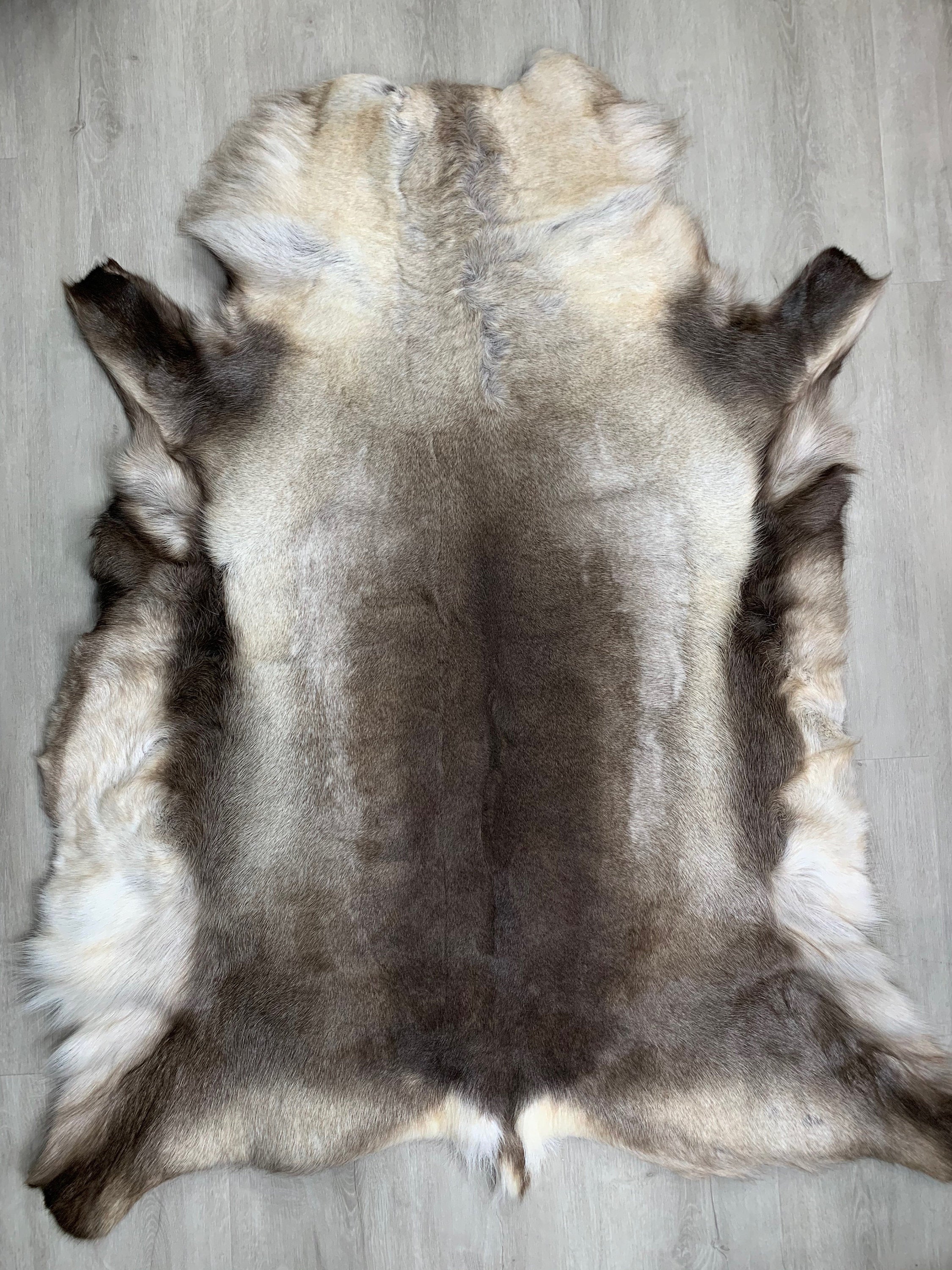 XXL GENUINE Scandinavian Reindeer Hide * Exclusive Reindeer skin rug hide pelt throw 56