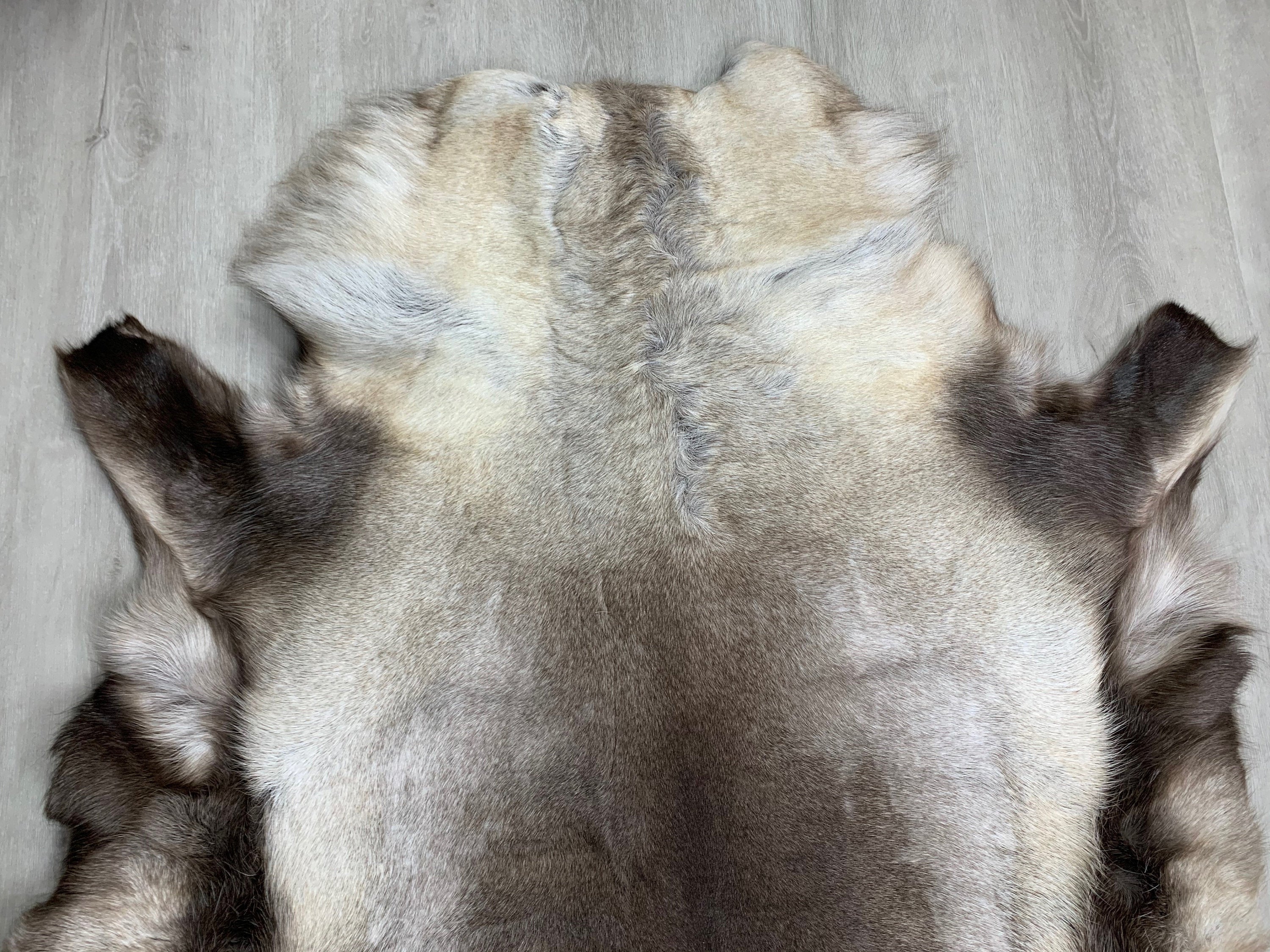 XXL GENUINE Scandinavian Reindeer Hide * Exclusive Reindeer skin rug hide pelt throw 56