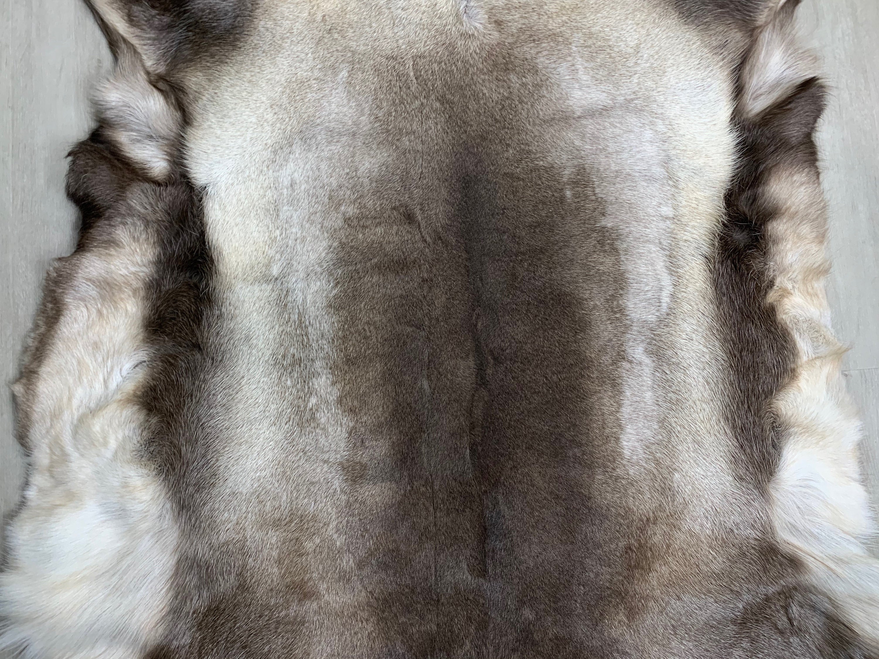 XXL GENUINE Scandinavian Reindeer Hide * Exclusive Reindeer skin rug hide pelt throw 56