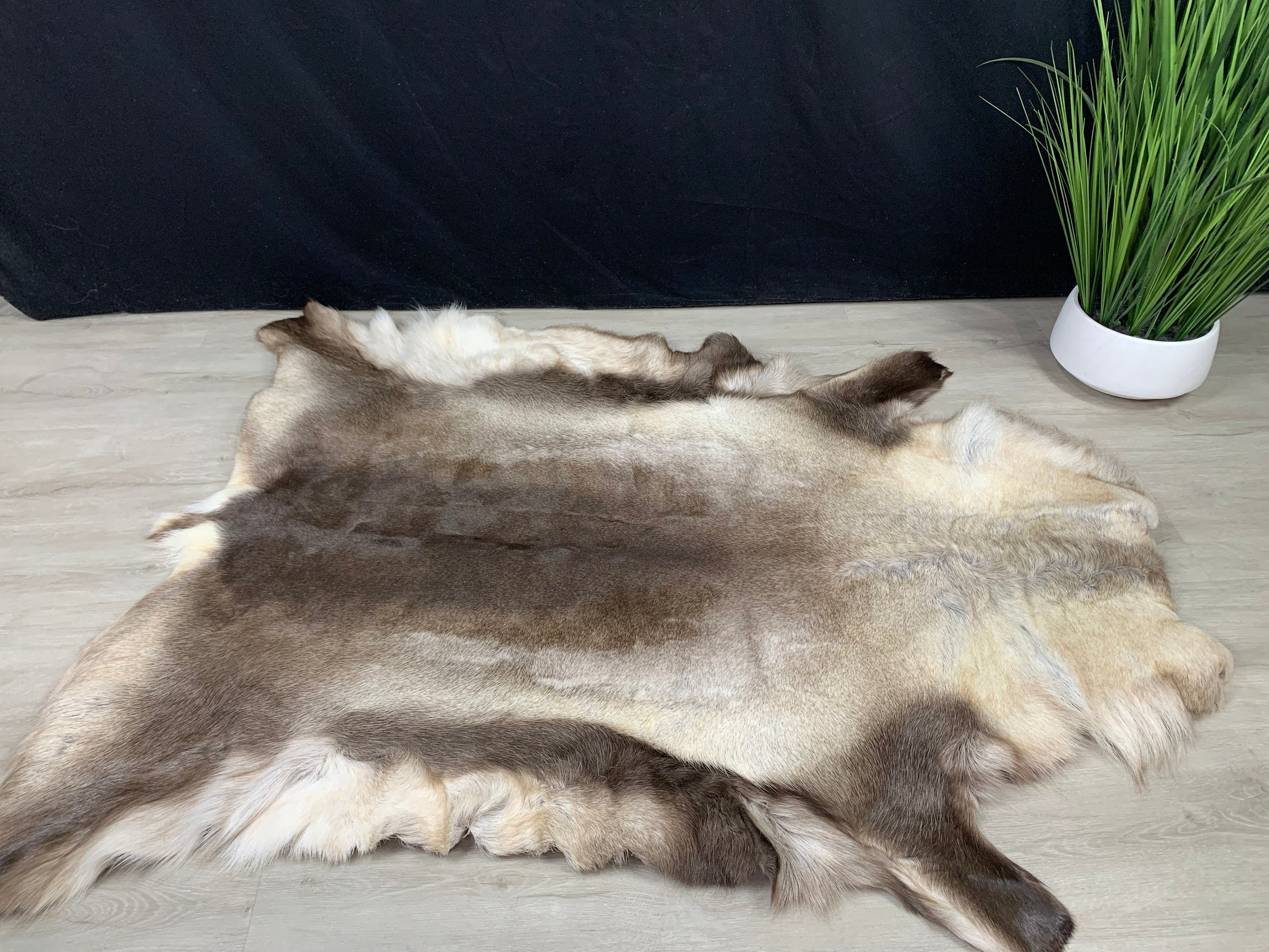 XXL GENUINE Scandinavian Reindeer Hide * Exclusive Reindeer skin rug hide pelt throw 56