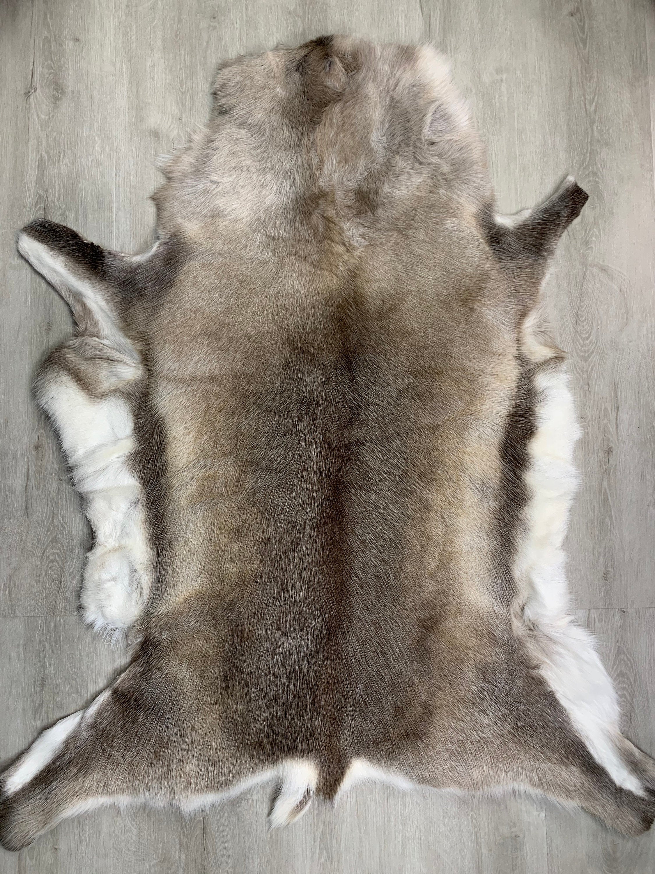 Scandinavian Reindeer Hide | Decorative Reindeer Skin | Genuine Reindeer Pelt Hide