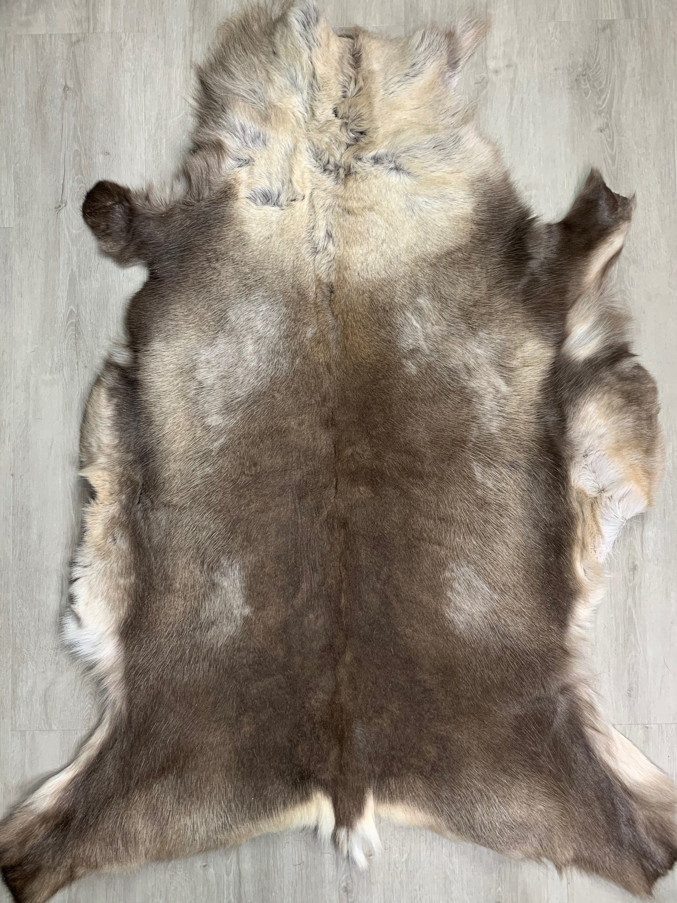 XXL GENUINE Scandinavian Reindeer Hide * Exclusive Reindeer skin rug hide pelt throw 54