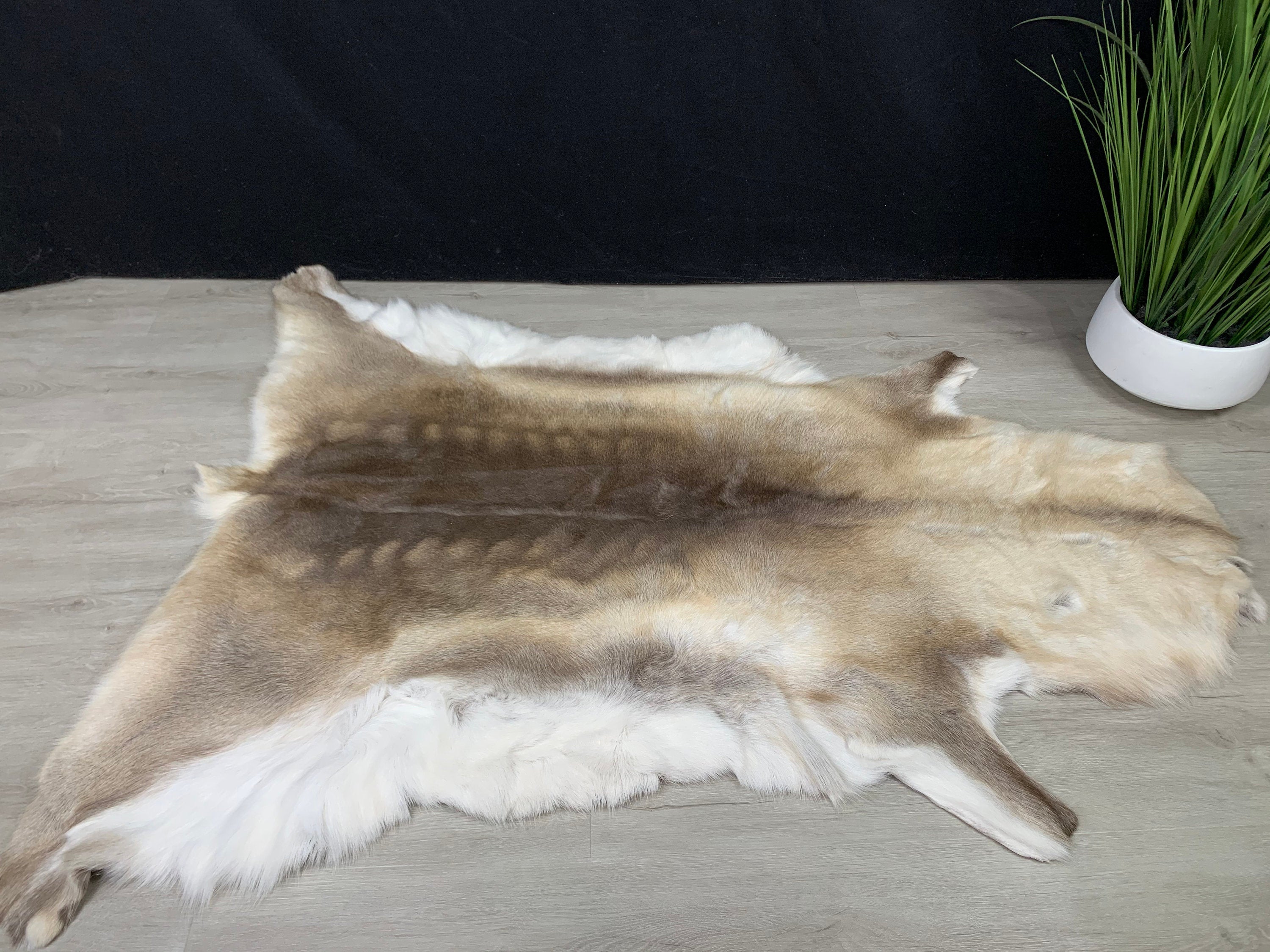 Large GENUINE Scandinavian Reindeer Hide * Exclusive Reindeer skin rug hide pelt throw 56