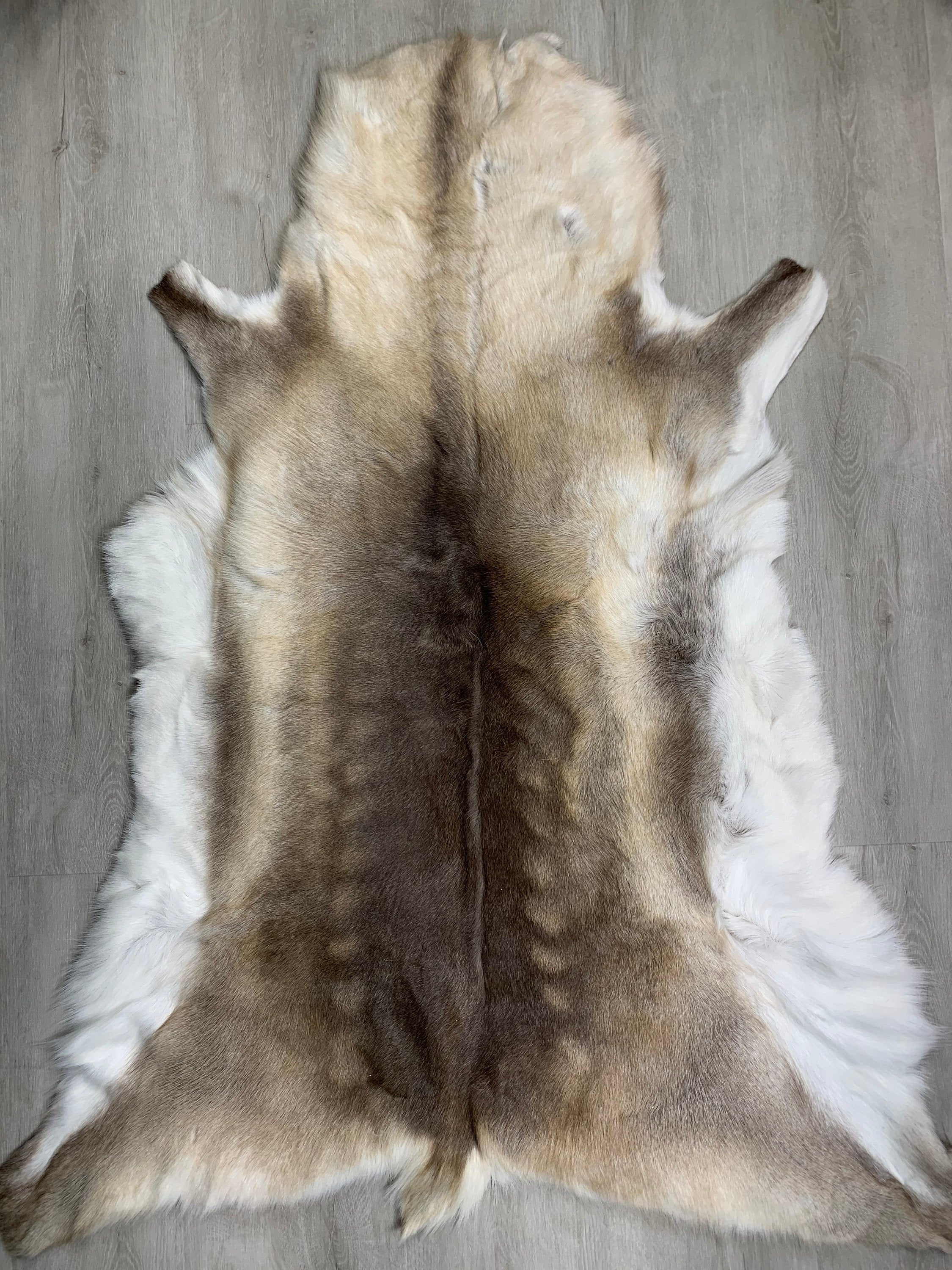 Large GENUINE Scandinavian Reindeer Hide * Exclusive Reindeer skin rug hide pelt throw 56