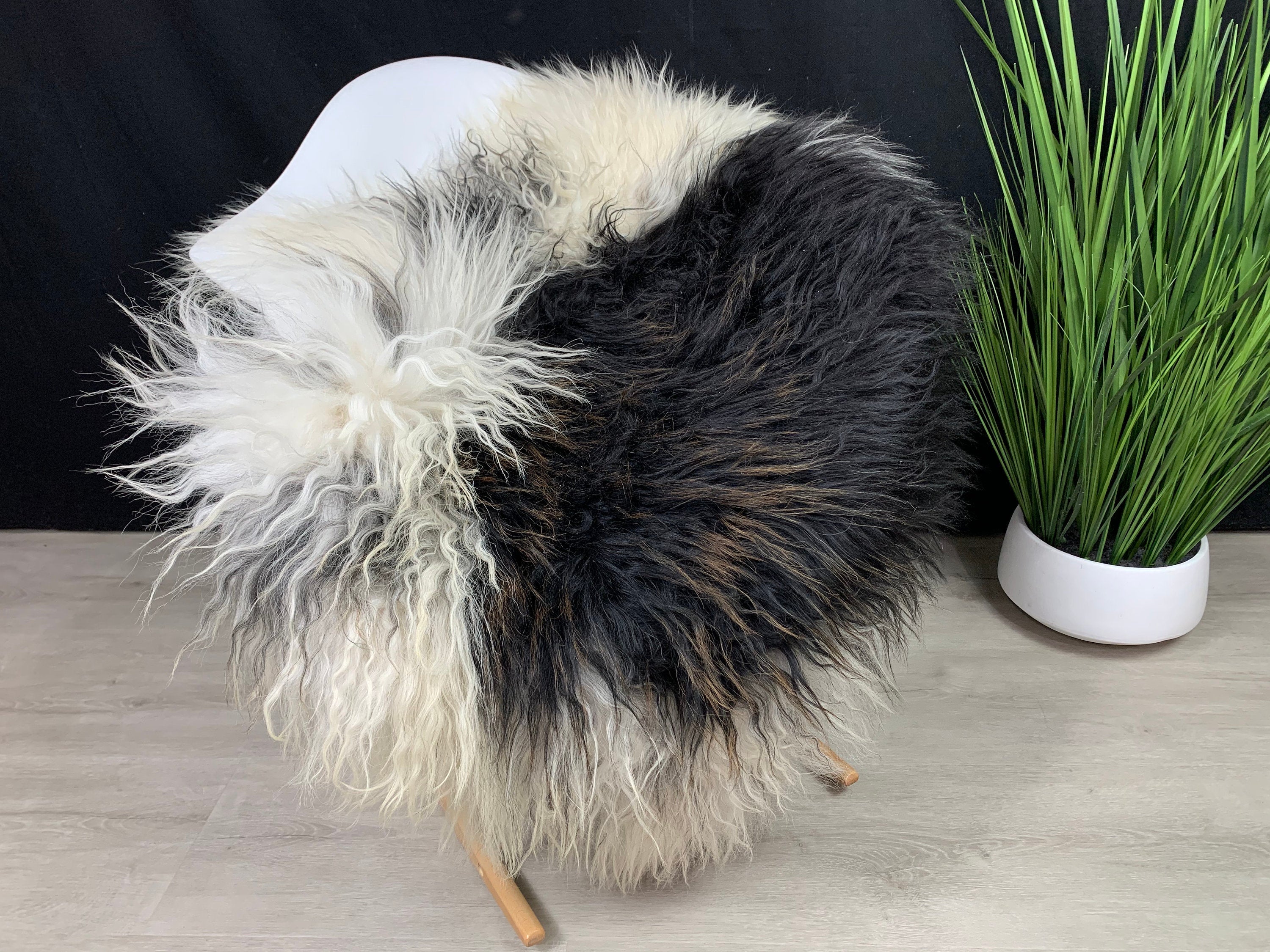 Beautiful Icelandic Curly Sheepskin rug | Fur Pelt | White with Black | natural for pet comfort | modern luxury decor | seat cover