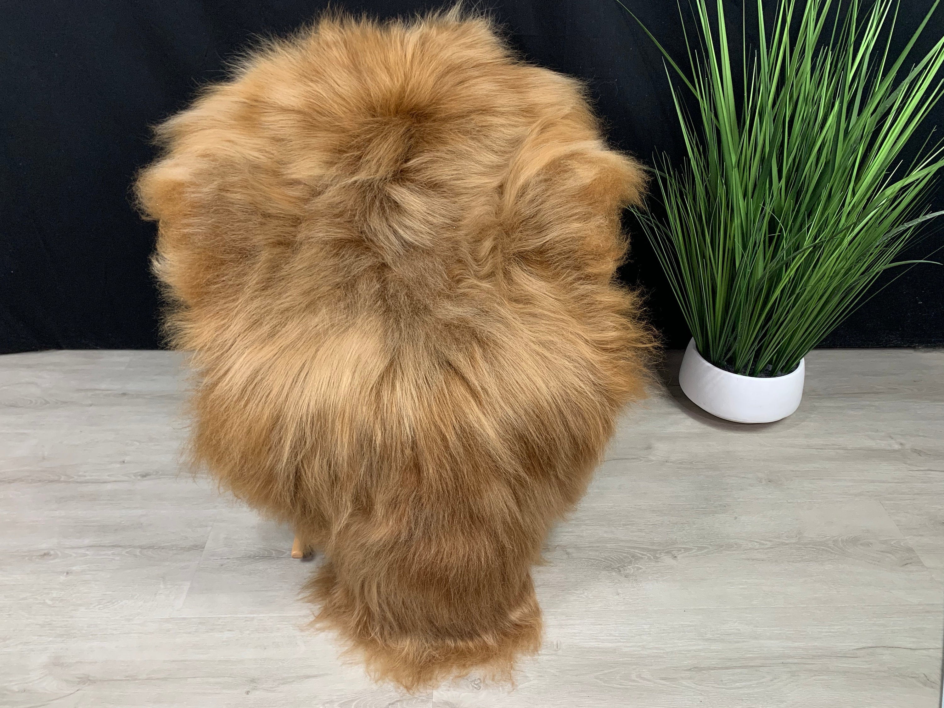 XXL Copper Icelandic Sheepskin Rug Pelt / Genuine Natural Sheepskin / Sheepskin Pet Bed / Sheepskin Seat Cover Throw