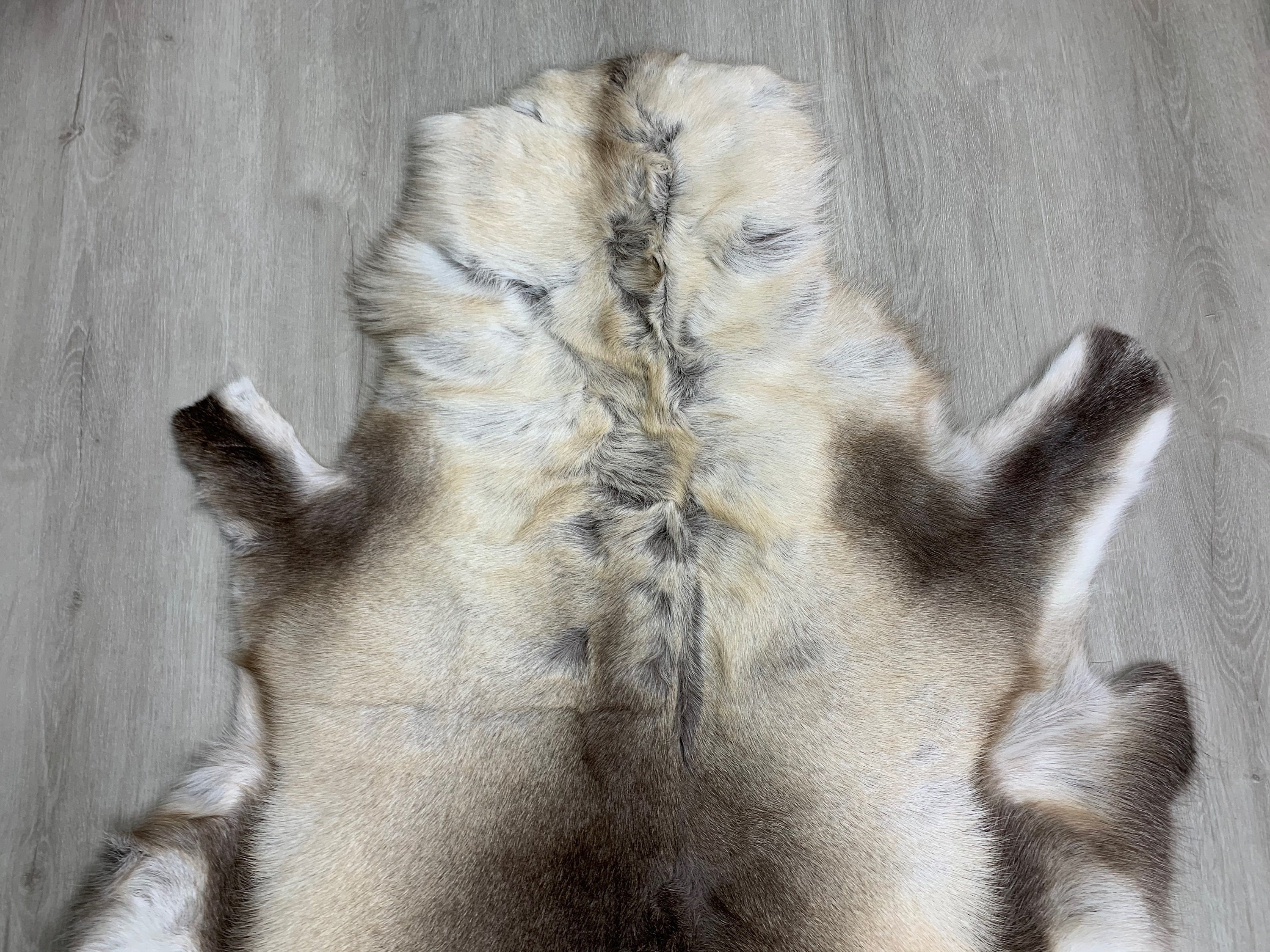 Scandinavian Reindeer Hide Rug | Decorative Reindeer Skin | Genuine Reindeer Pelt Hide