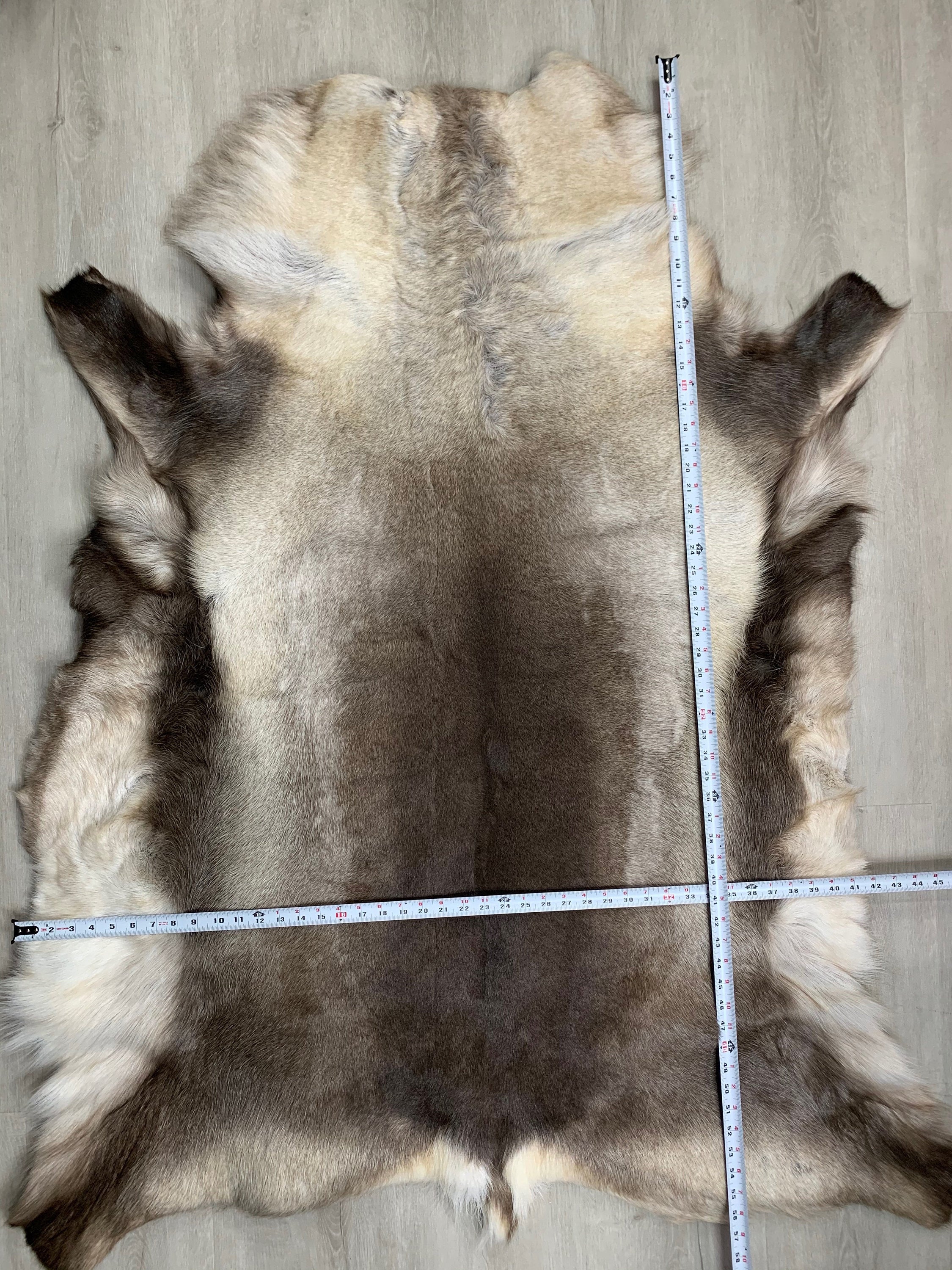 XXL GENUINE Scandinavian Reindeer Hide * Exclusive Reindeer skin rug hide pelt throw 56