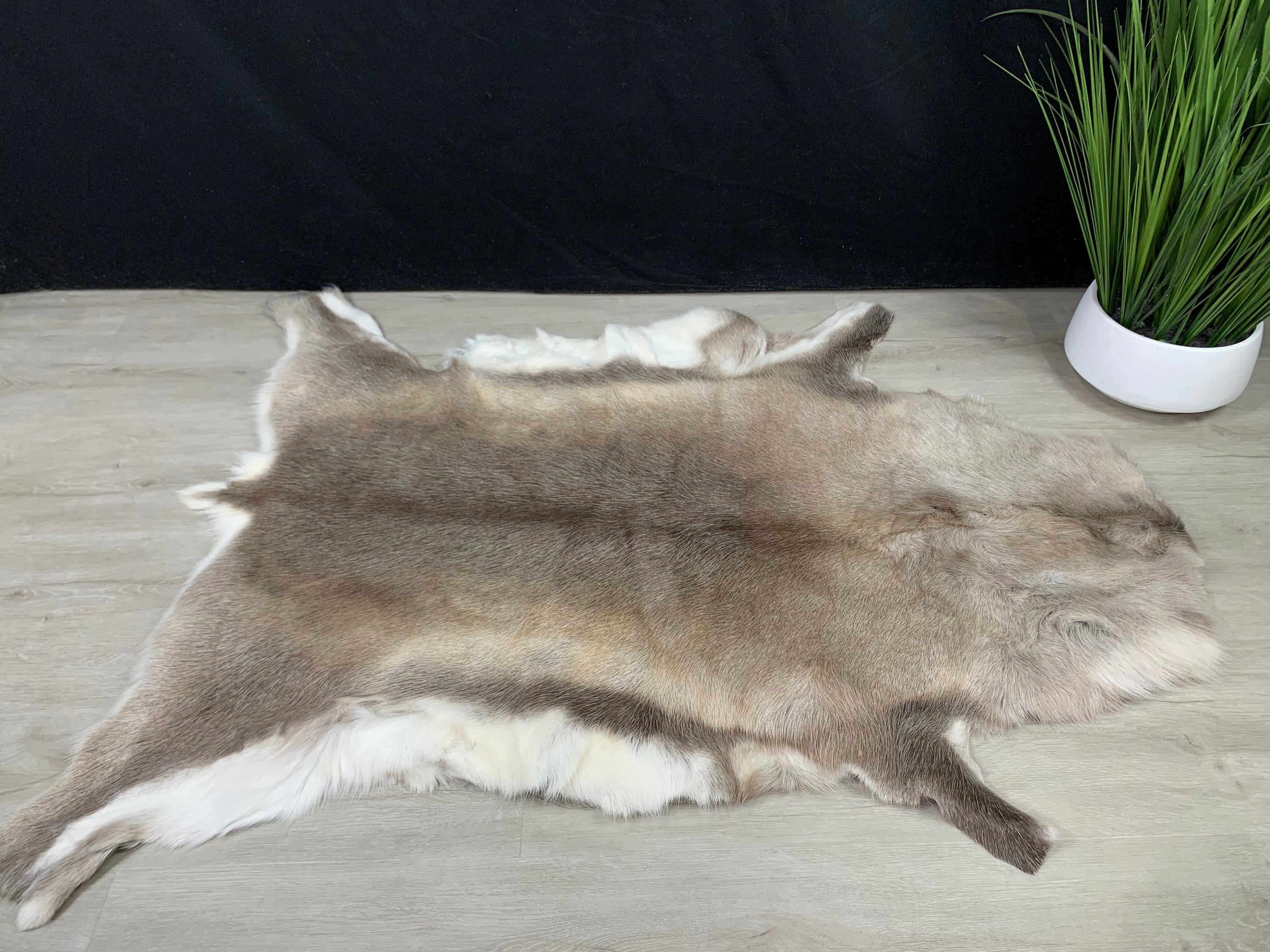 Scandinavian Reindeer Hide | Decorative Reindeer Skin | Genuine Reindeer Pelt Hide