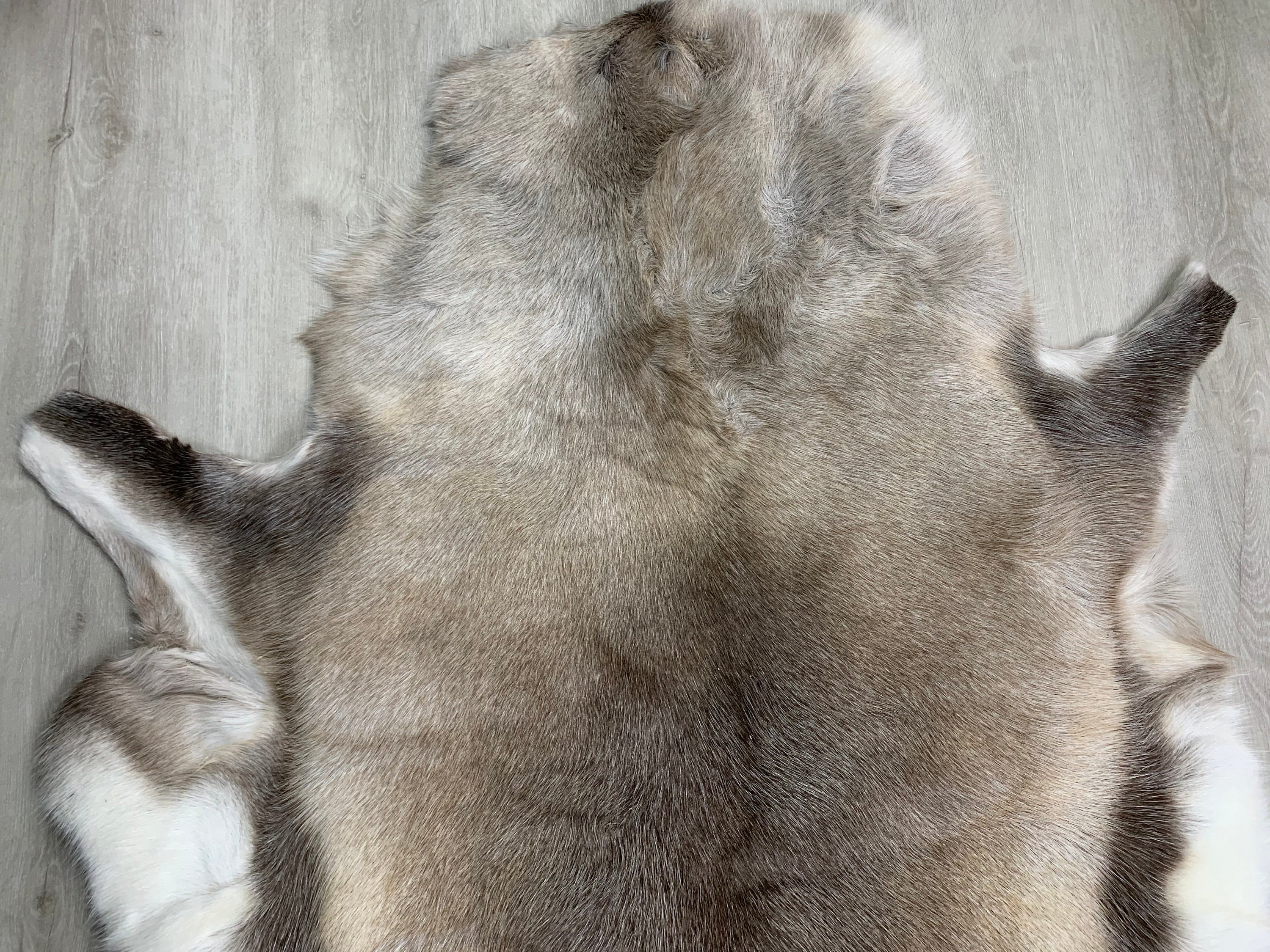 Scandinavian Reindeer Hide | Decorative Reindeer Skin | Genuine Reindeer Pelt Hide