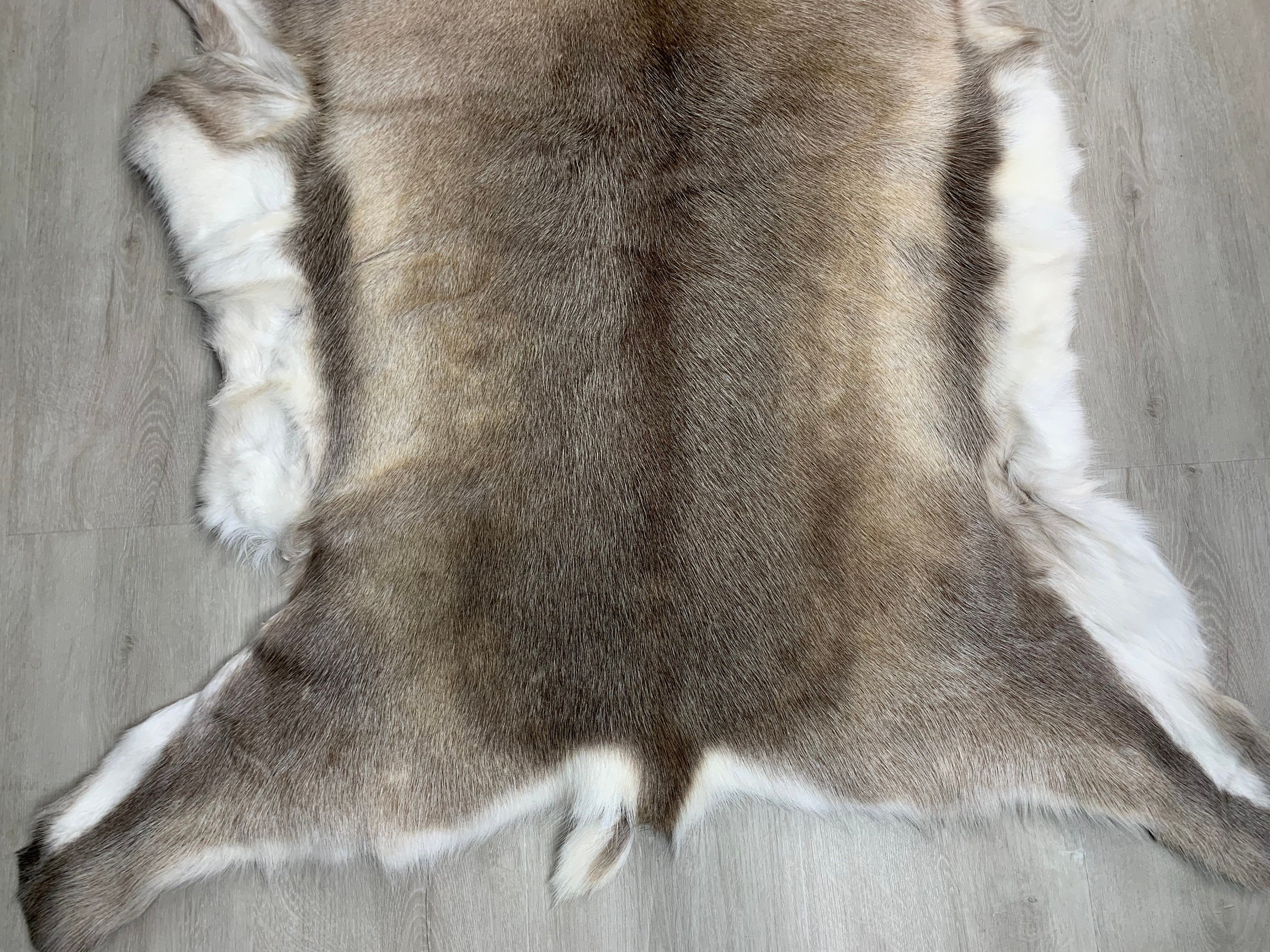 Scandinavian Reindeer Hide | Decorative Reindeer Skin | Genuine Reindeer Pelt Hide