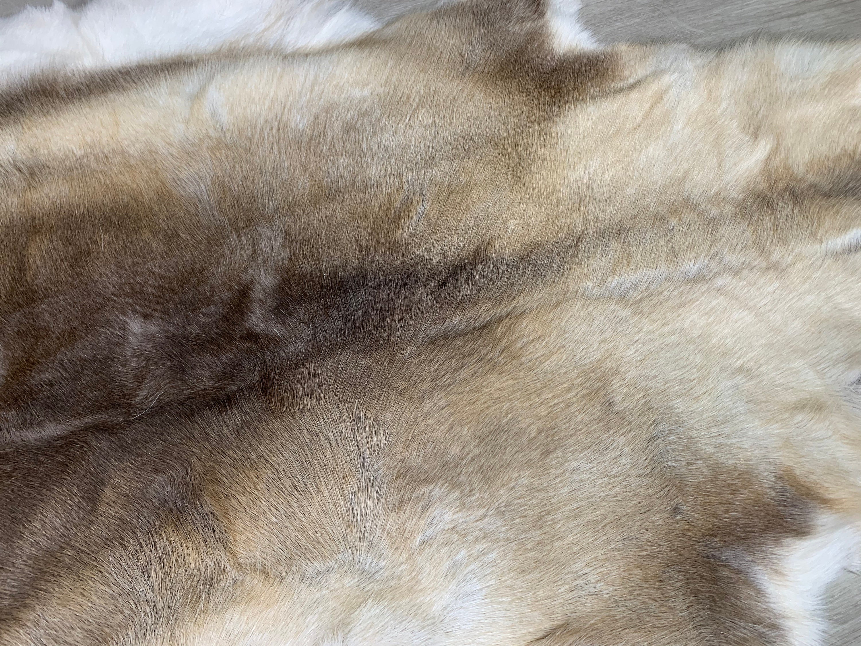 Large GENUINE Scandinavian Reindeer Hide * Exclusive Reindeer skin rug hide pelt throw 56