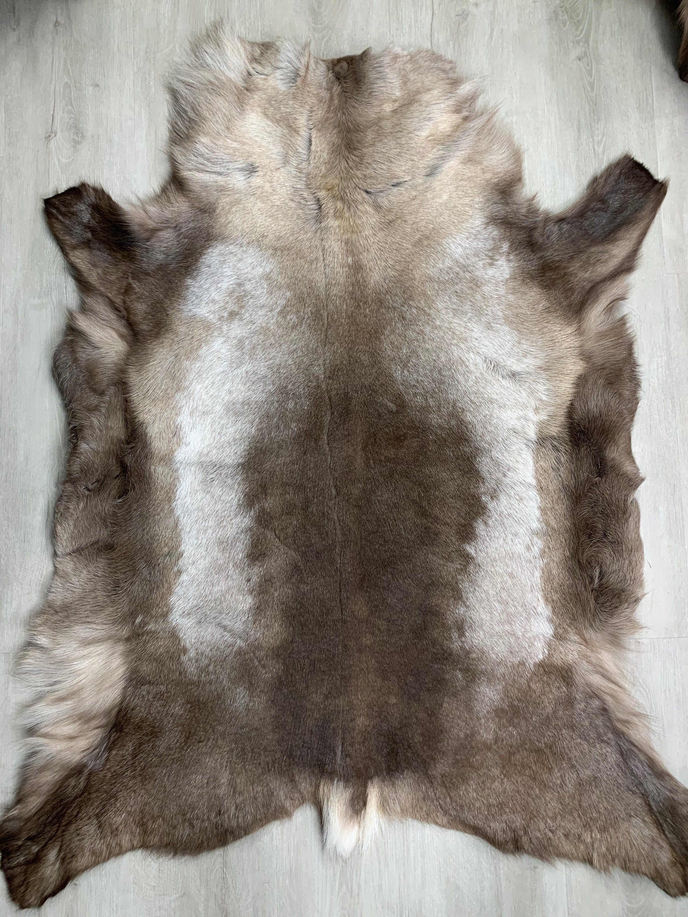 XL Scandinavian Reindeer Hide | Decorative Reindeer Skin | Genuine Reindeer Pelt Hide