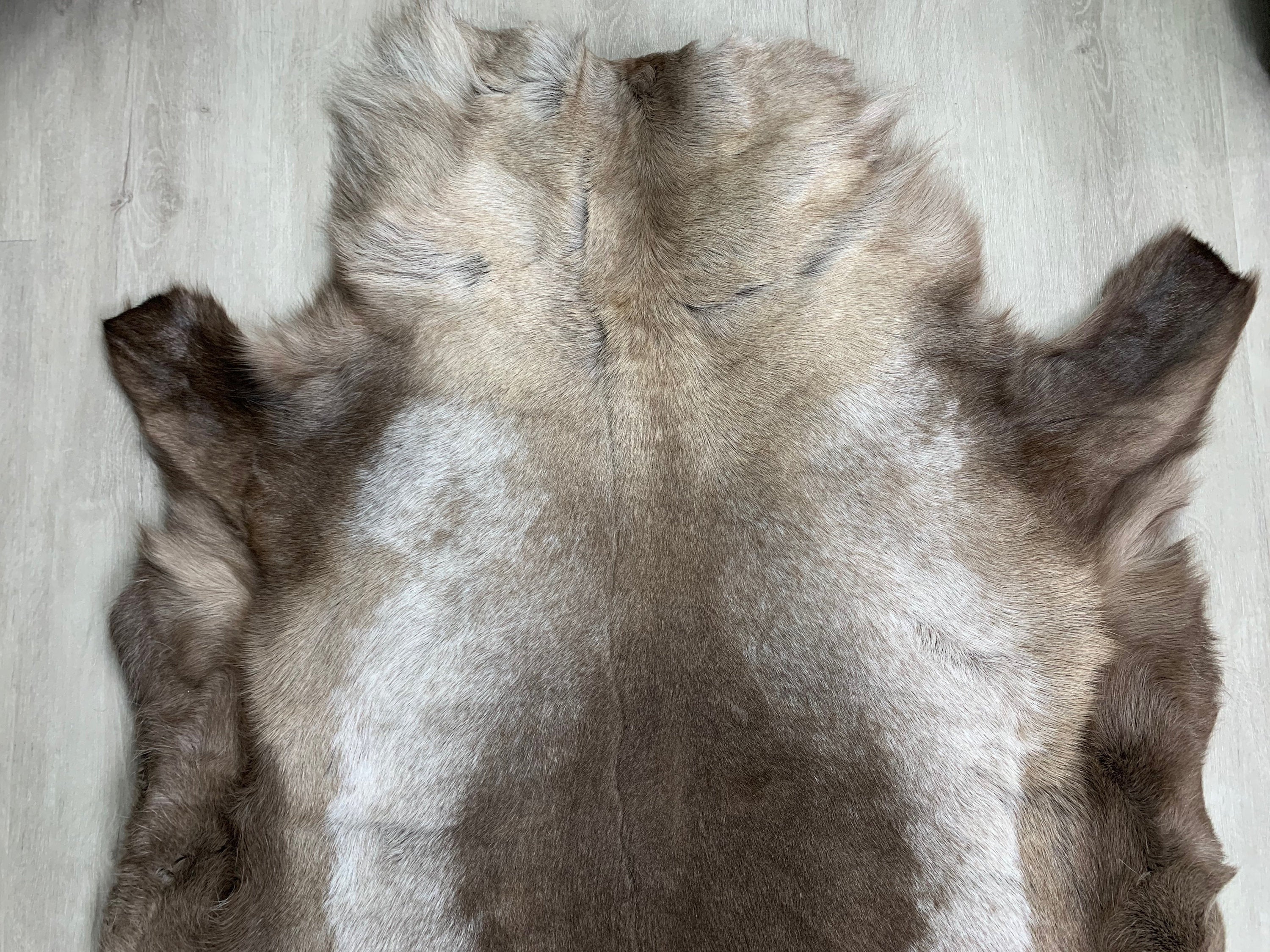 XL Scandinavian Reindeer Hide | Decorative Reindeer Skin | Genuine Reindeer Pelt Hide