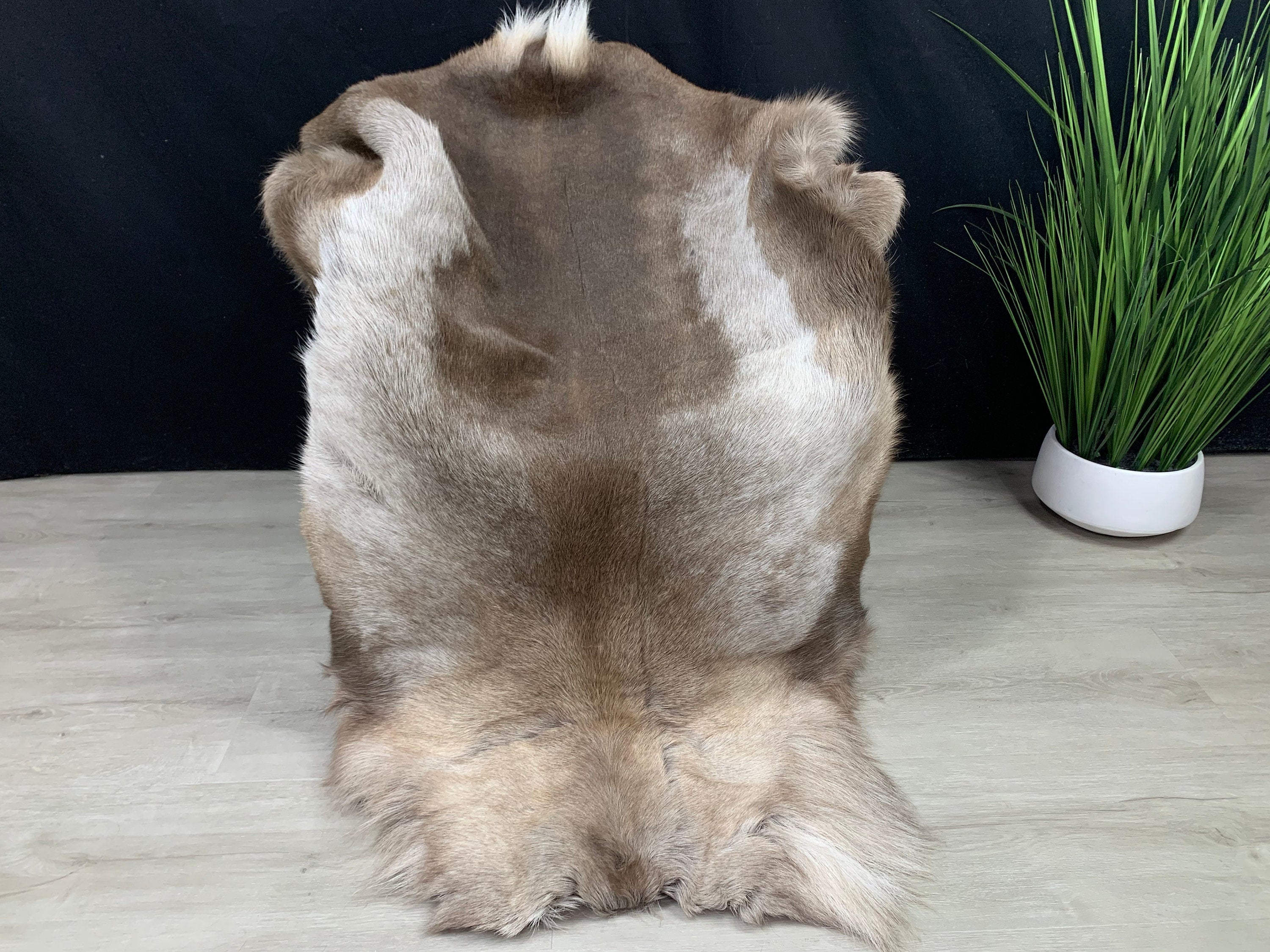 XL Scandinavian Reindeer Hide | Decorative Reindeer Skin | Genuine Reindeer Pelt Hide