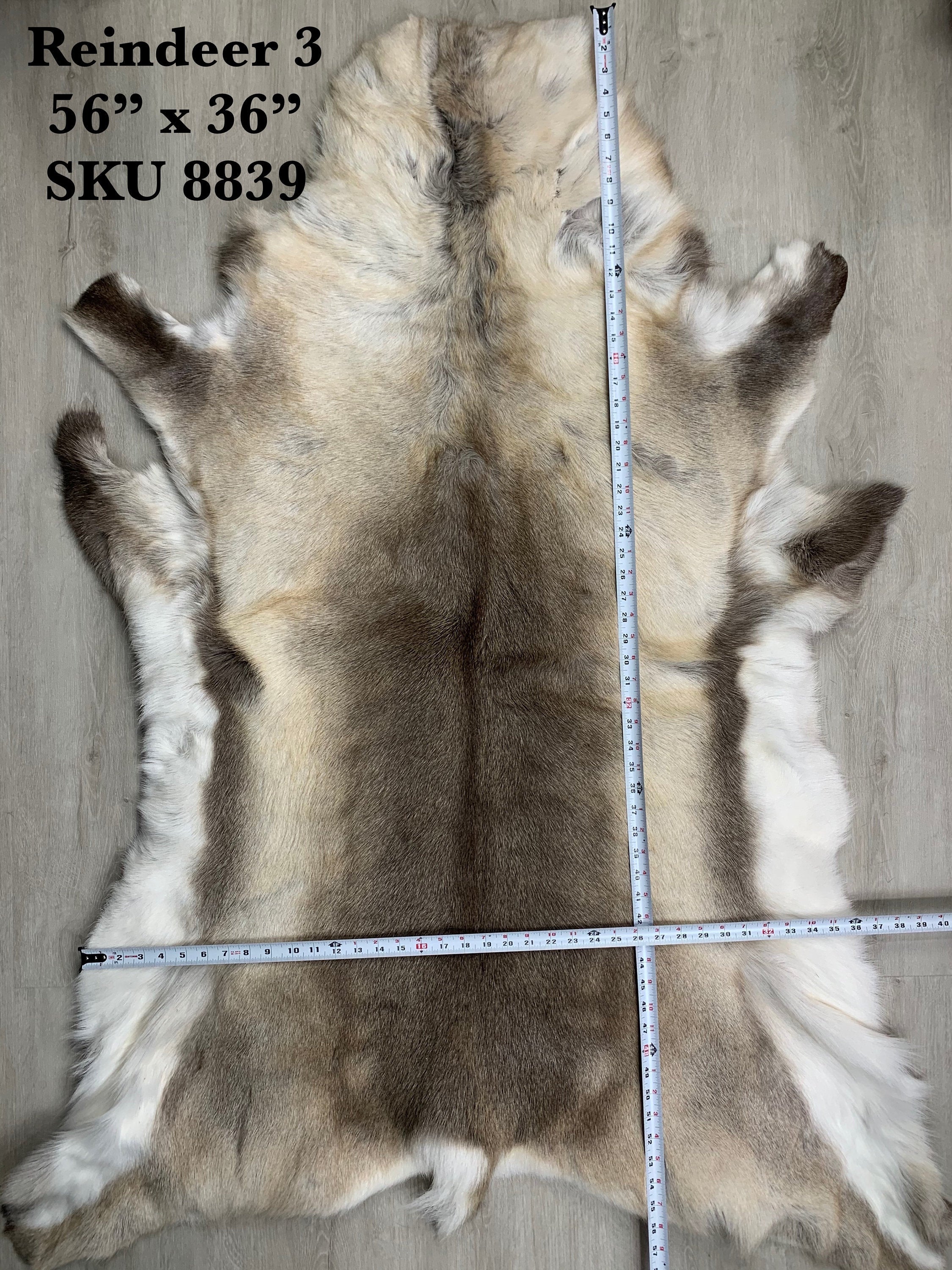 Reindeer Rug / Scandinavian Reindeer Hide / Genuine Reindeer Pelt Hide /  Reindeer Skin