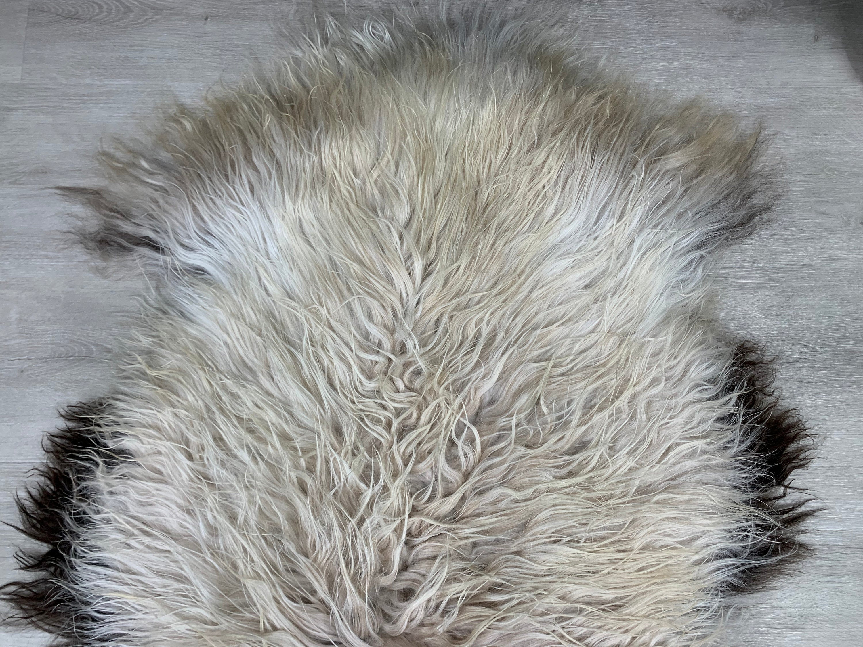 Icelandic Curly Cream White Beige  Sheepskin Rug * Genuine Sheepskin Rug Fur Throw * Natural Animal Hide Pelt * Sheepskin Seat Cover