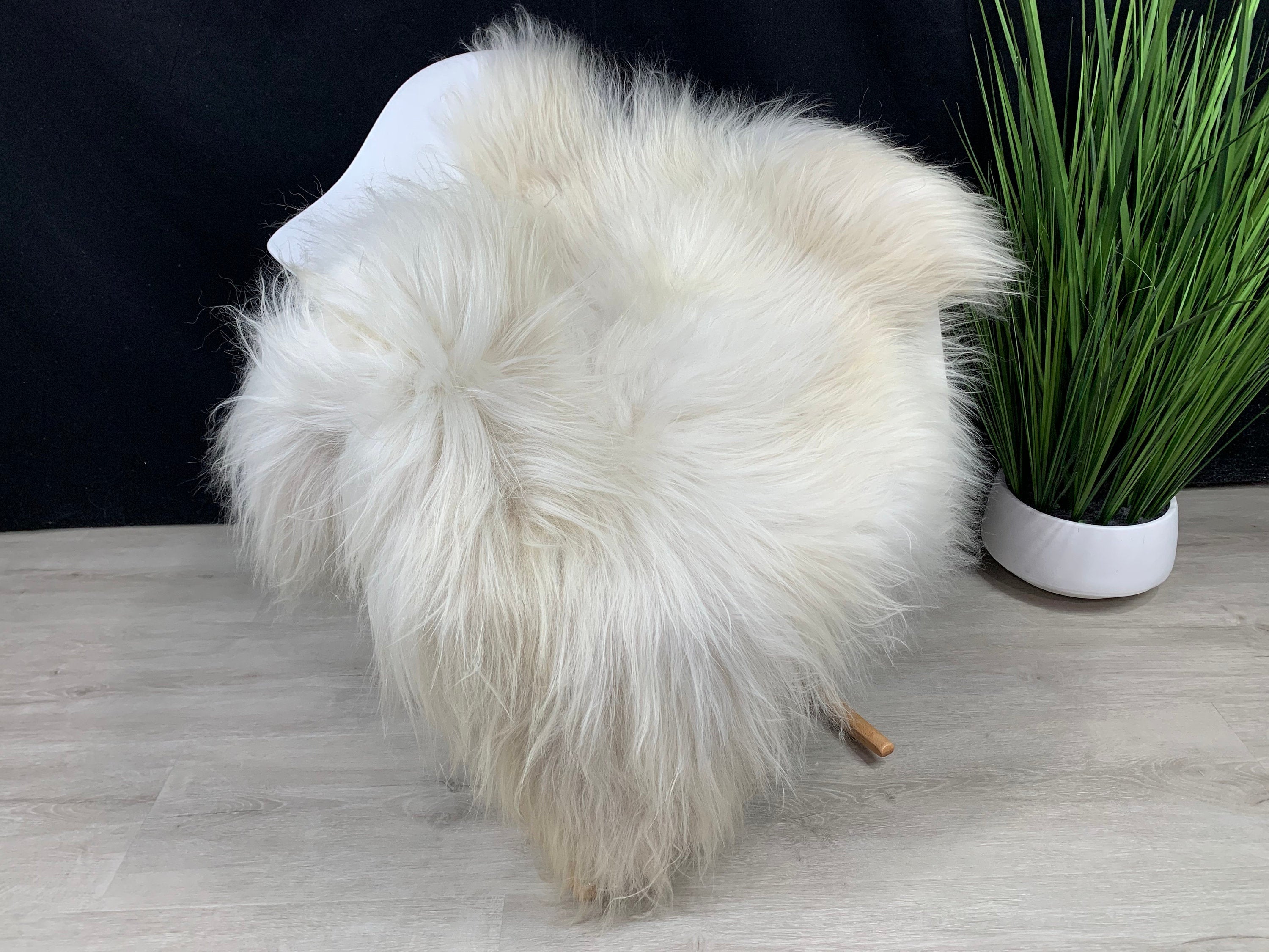 Icelandic Sheepskin rug / Sheepskin White Black  / Icelandic Sheepskin Pelt / Sheepskin Seat Cover / Sheepskin Pet Bed Throw