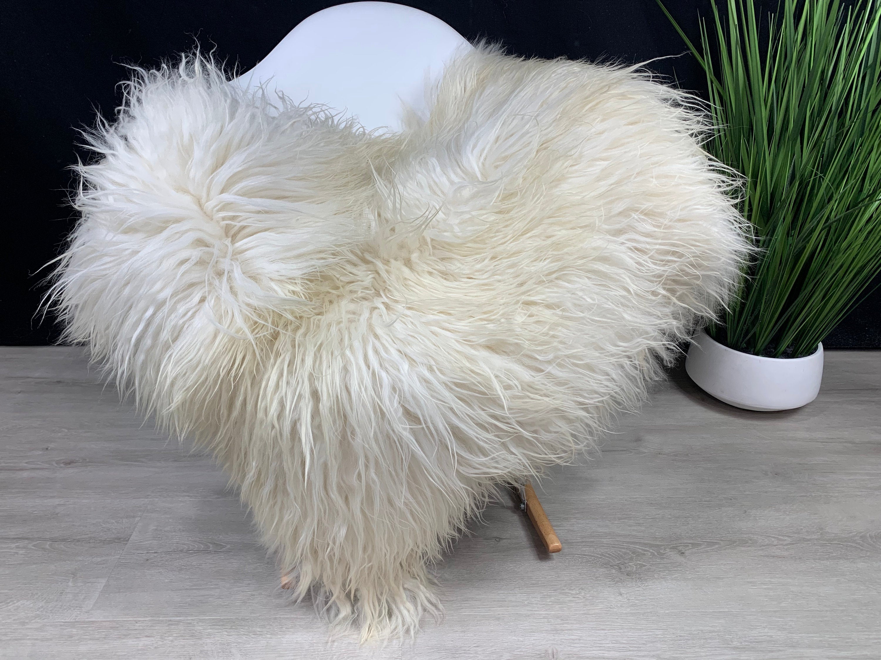 Luxurious Curly White Cream Icelandic Sheepskin Hide Rug Chair Throw  Animal Friendly