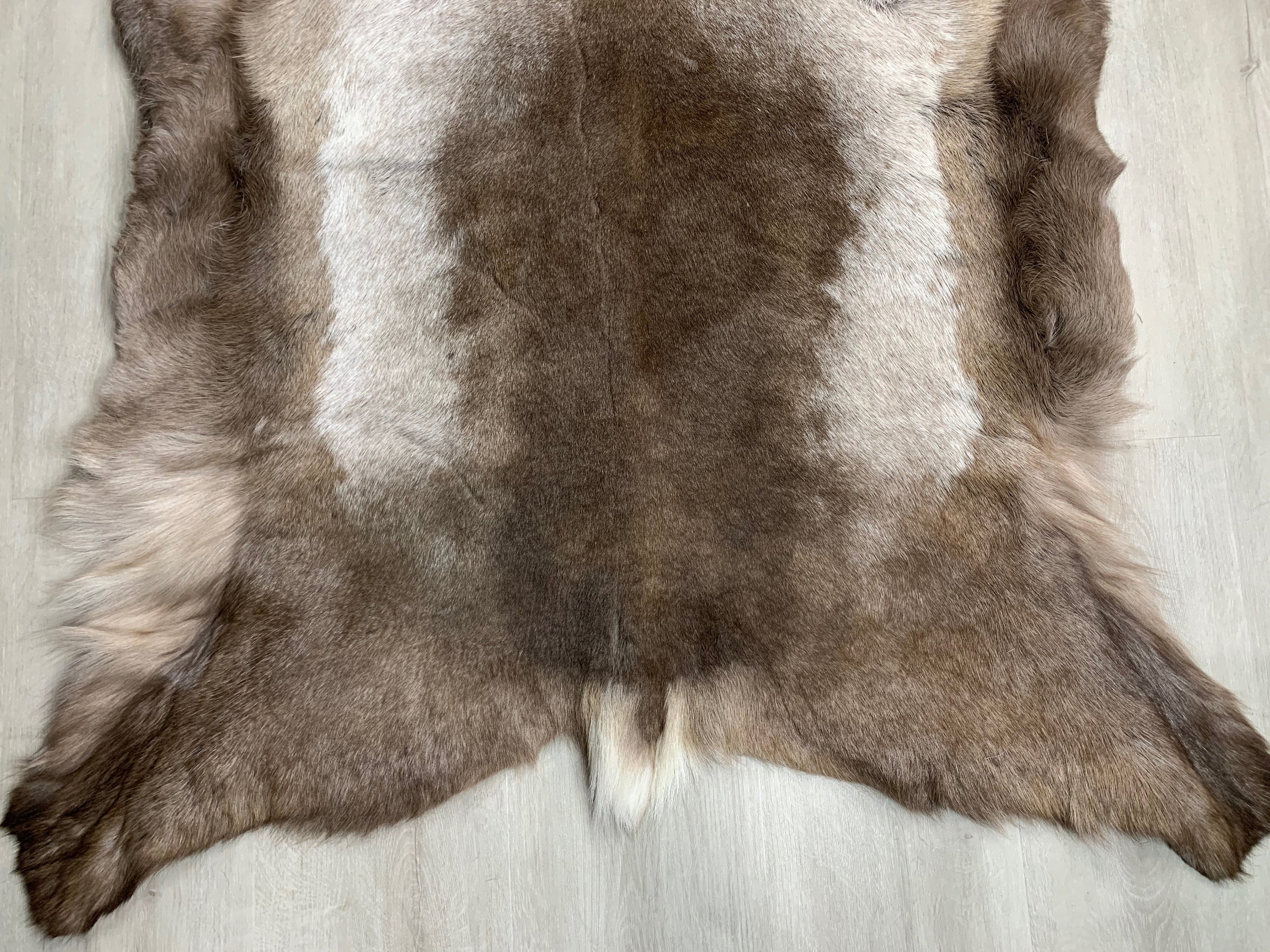 XL Scandinavian Reindeer Hide | Decorative Reindeer Skin | Genuine Reindeer Pelt Hide