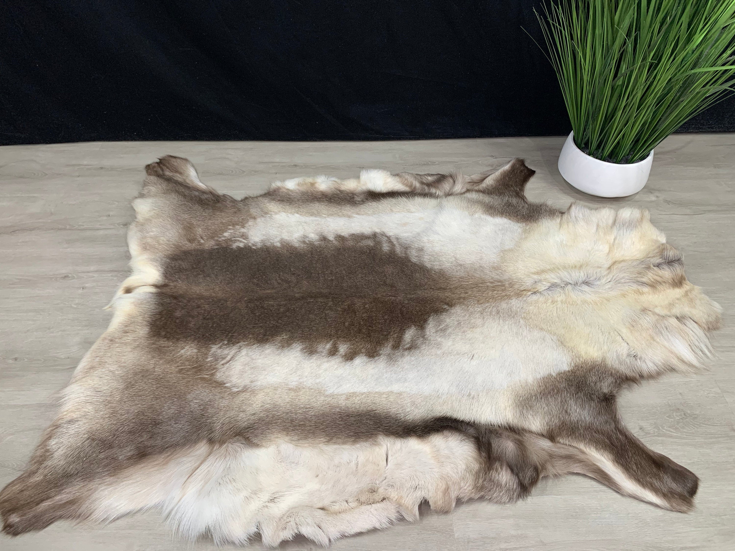 XXL GENUINE Scandinavian Reindeer Hide * Exclusive Reindeer skin rug hide pelt throw 56