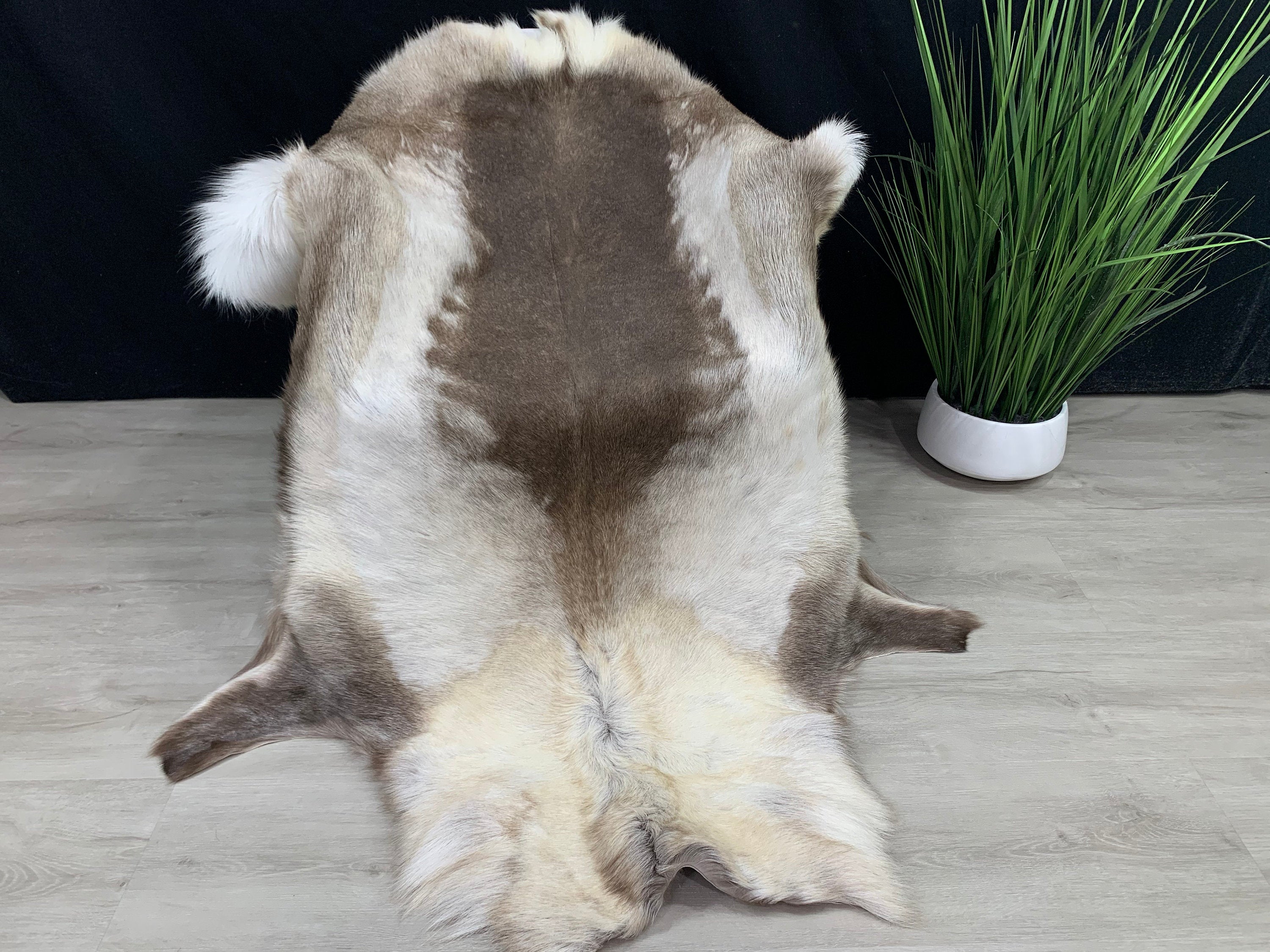 XXL GENUINE Scandinavian Reindeer Hide * Exclusive Reindeer skin rug hide pelt throw 56