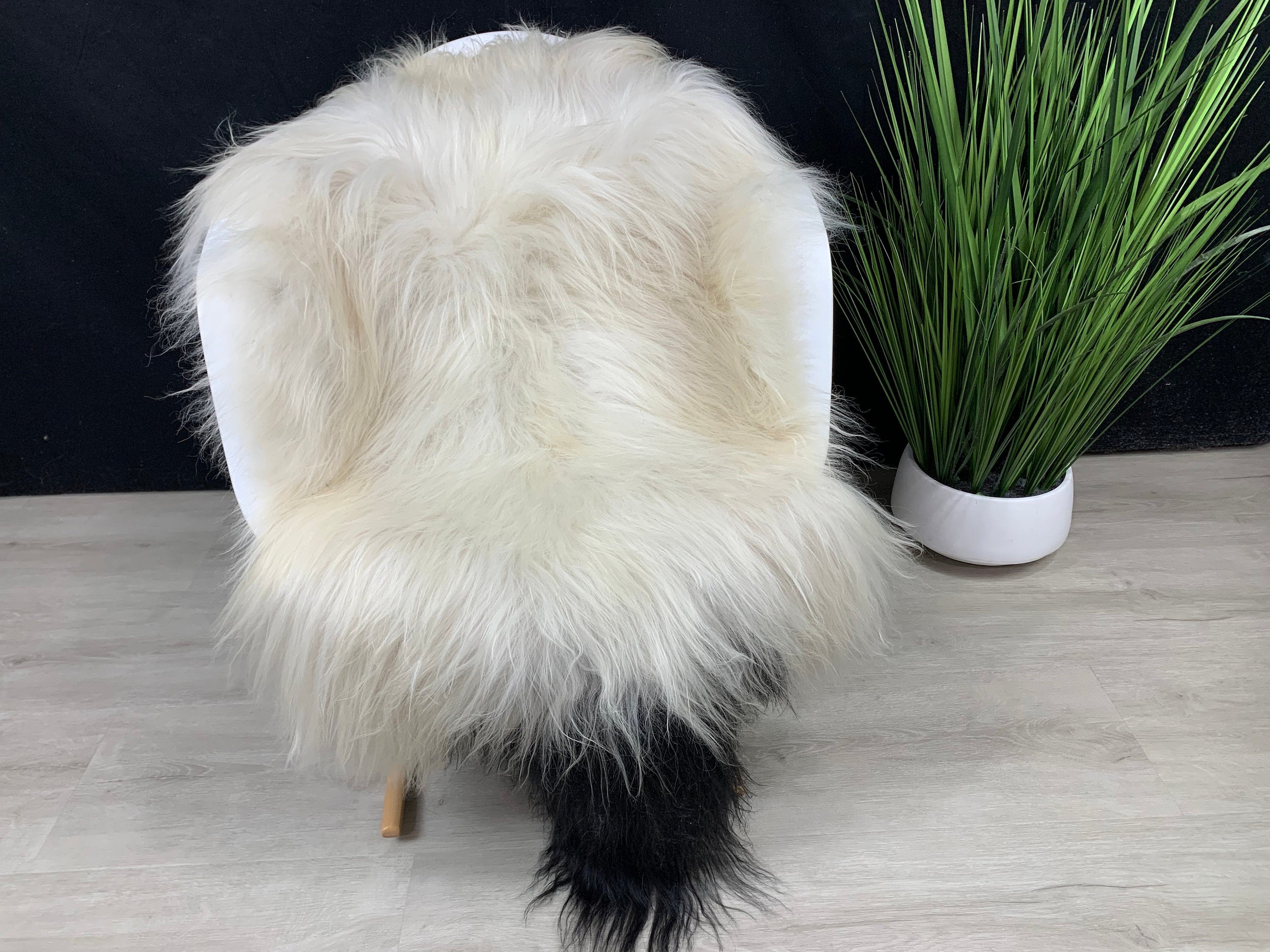 Icelandic Sheepskin rug / Sheepskin White Black  / Icelandic Sheepskin Pelt / Sheepskin Seat Cover / Sheepskin Pet Bed Throw